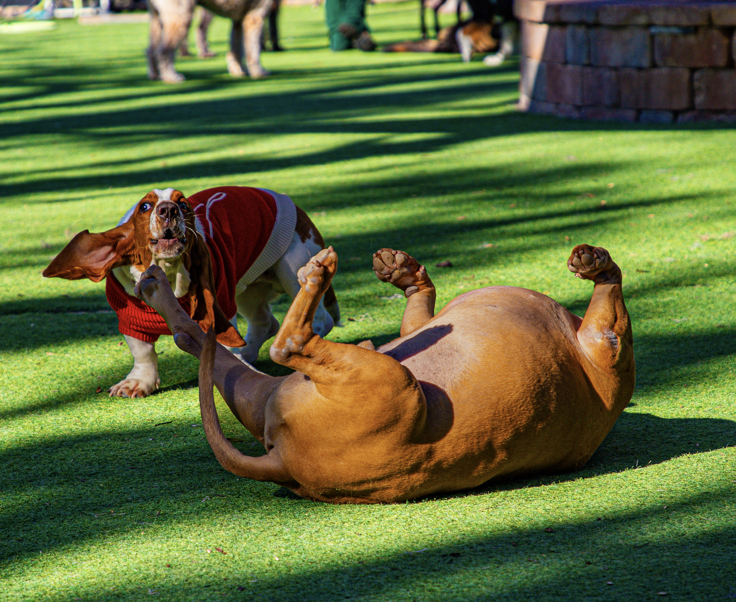 Screenshot 2026-03-31 at 12.05.10.png