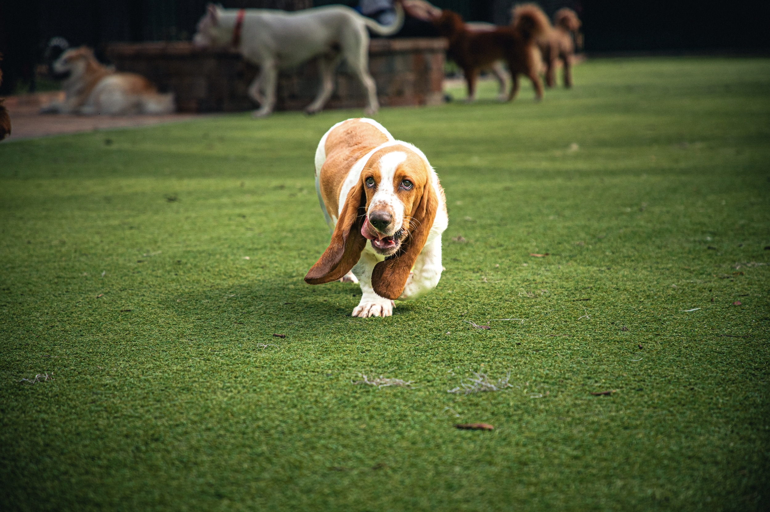 Screenshot 2026-03-31 at 11.45.11.png