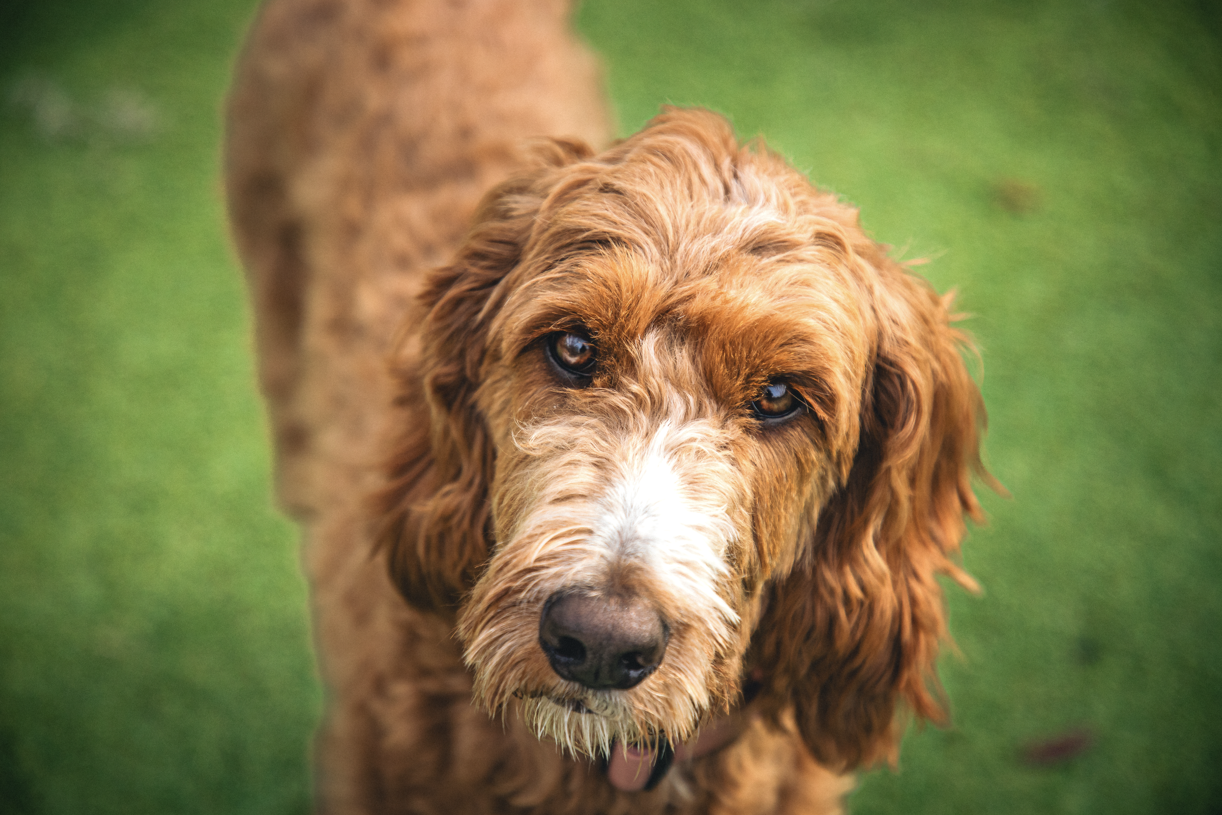 Screenshot 2026-03-31 at 11.43.11.png