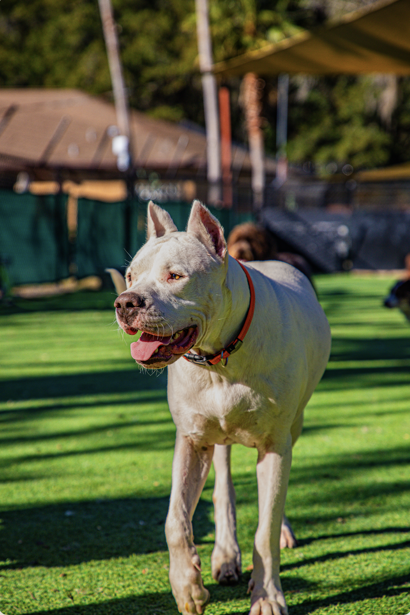 Screenshot 2026-03-31 at 12.05.45.png