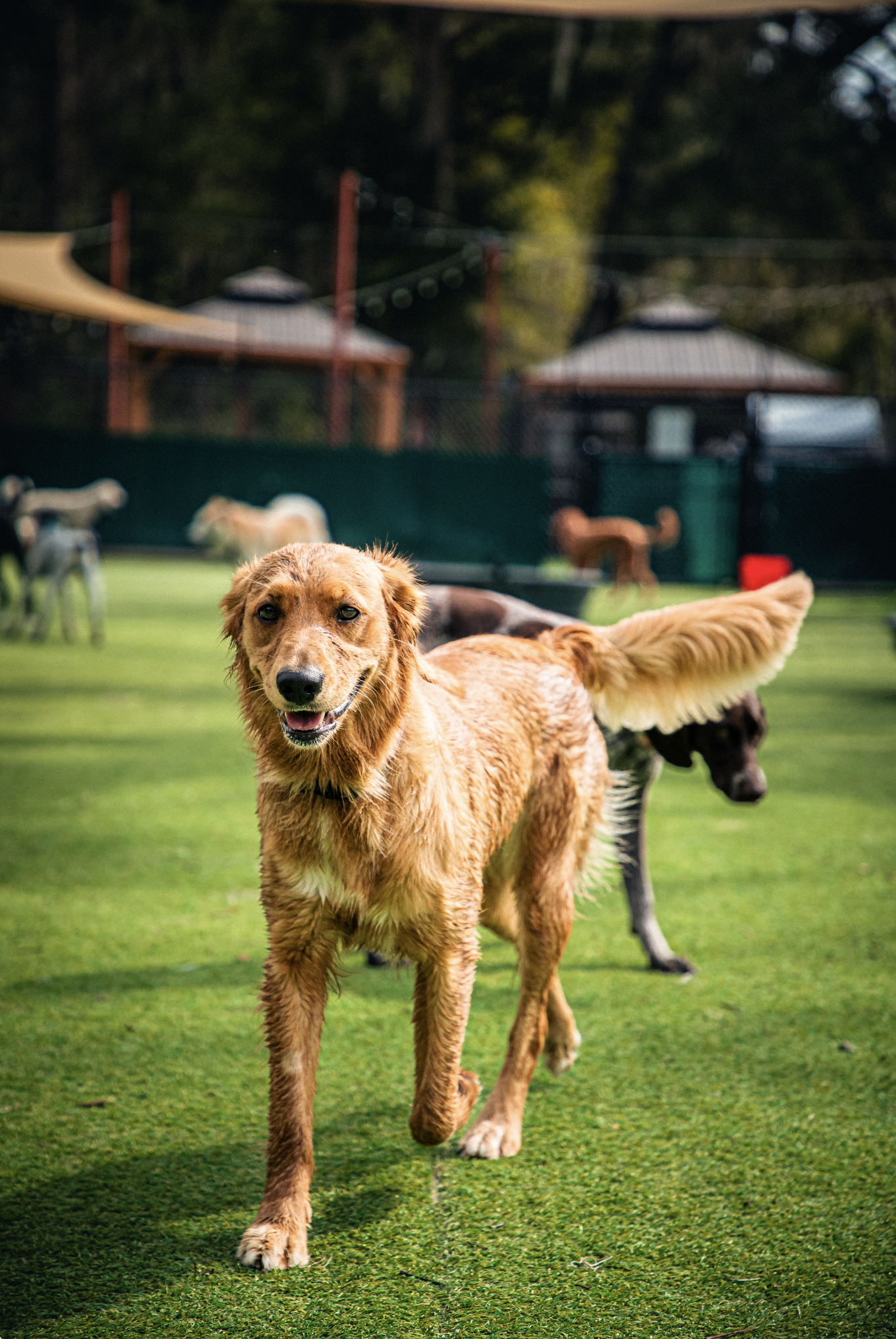 Screenshot 2026-03-31 at 11.42.20.png