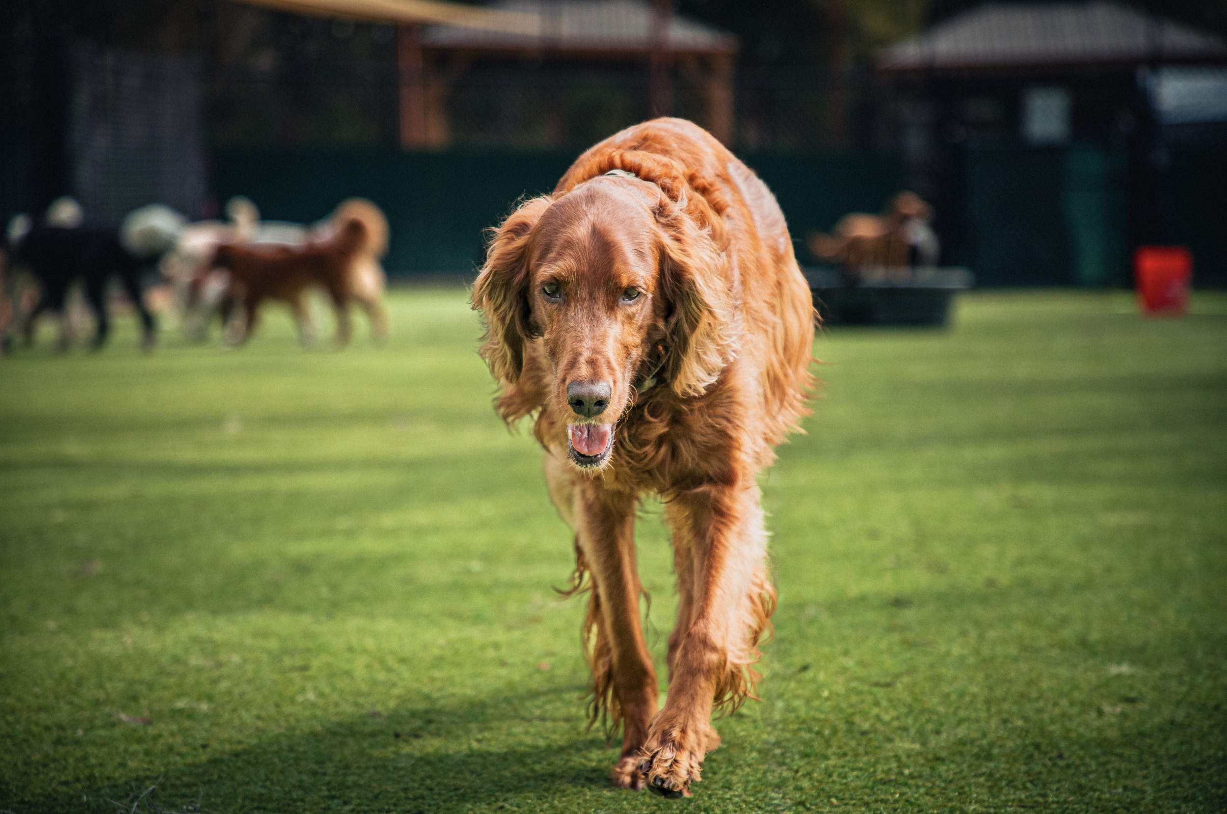 Screenshot 2026-03-31 at 11.45.00.png