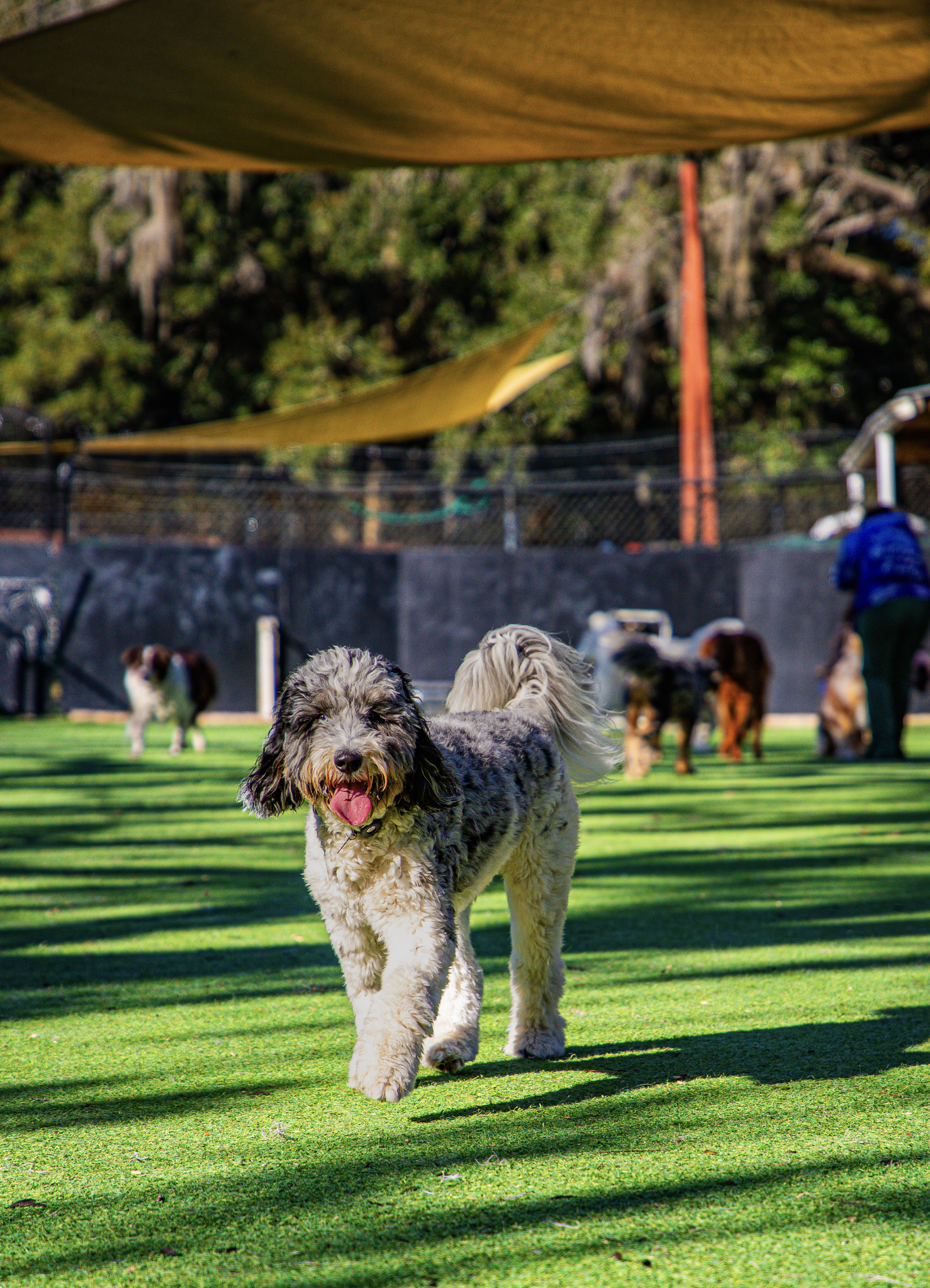 Screenshot 2026-03-31 at 12.05.58.png