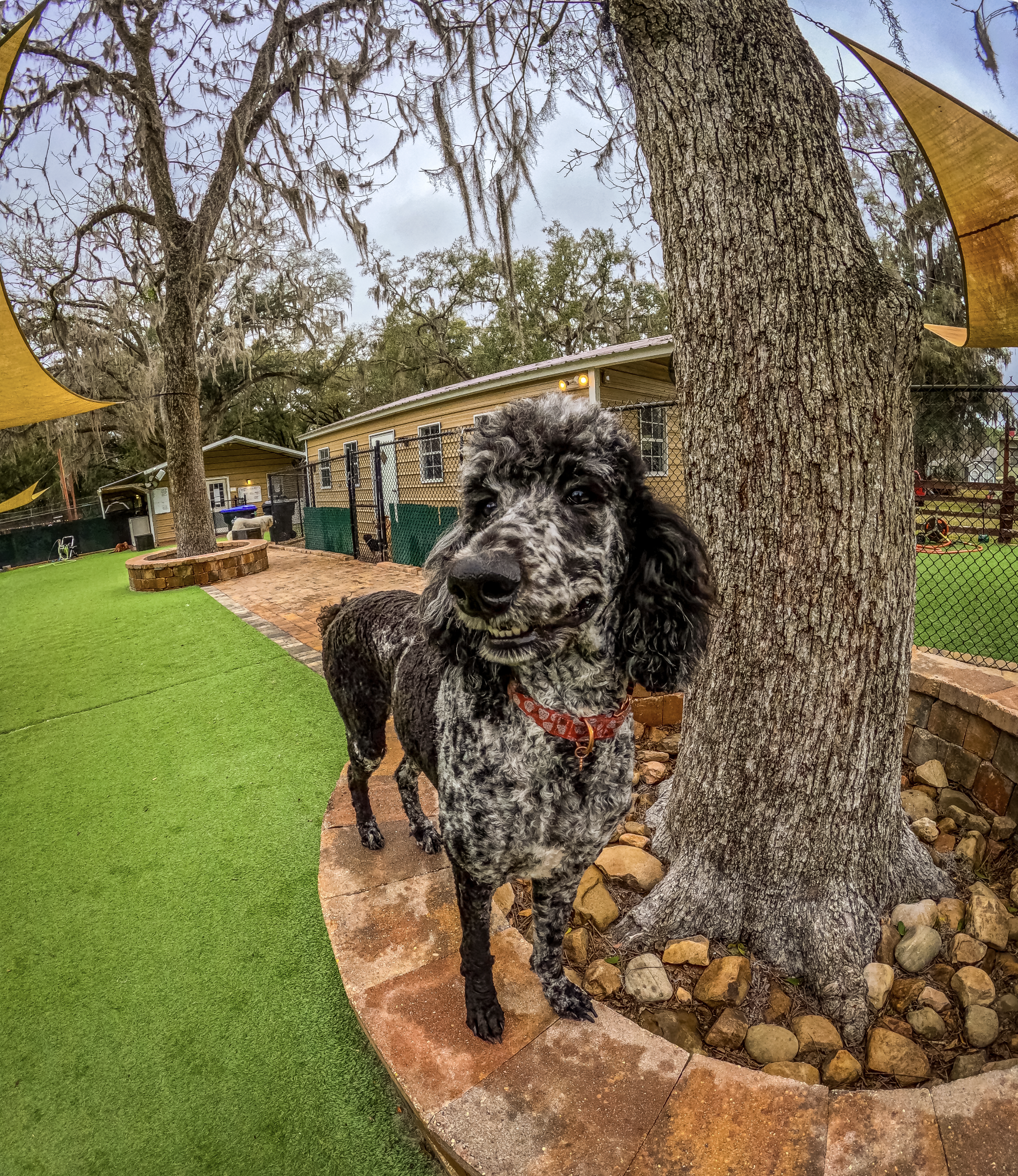 Screenshot 2026-03-31 at 11.28.35.png