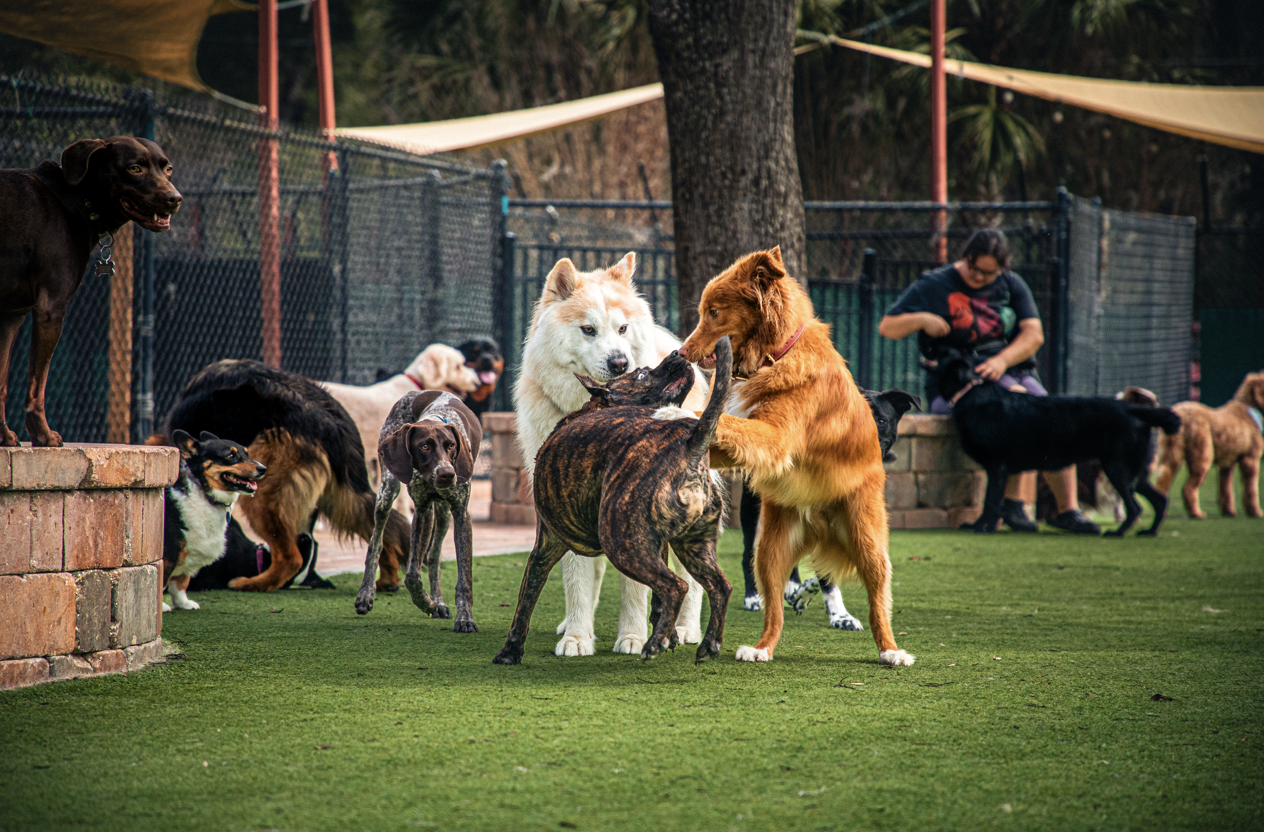 Screenshot 2026-03-31 at 11.47.35.png