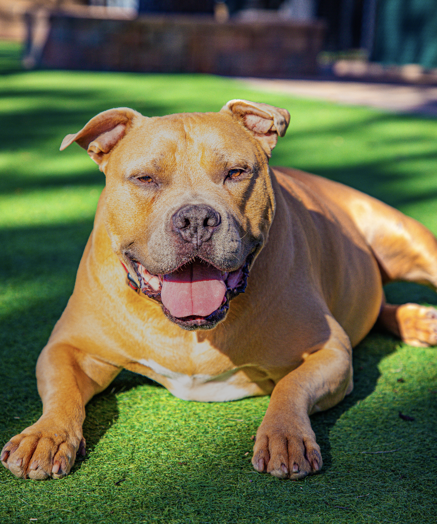 Screenshot 2026-03-31 at 12.04.59.png