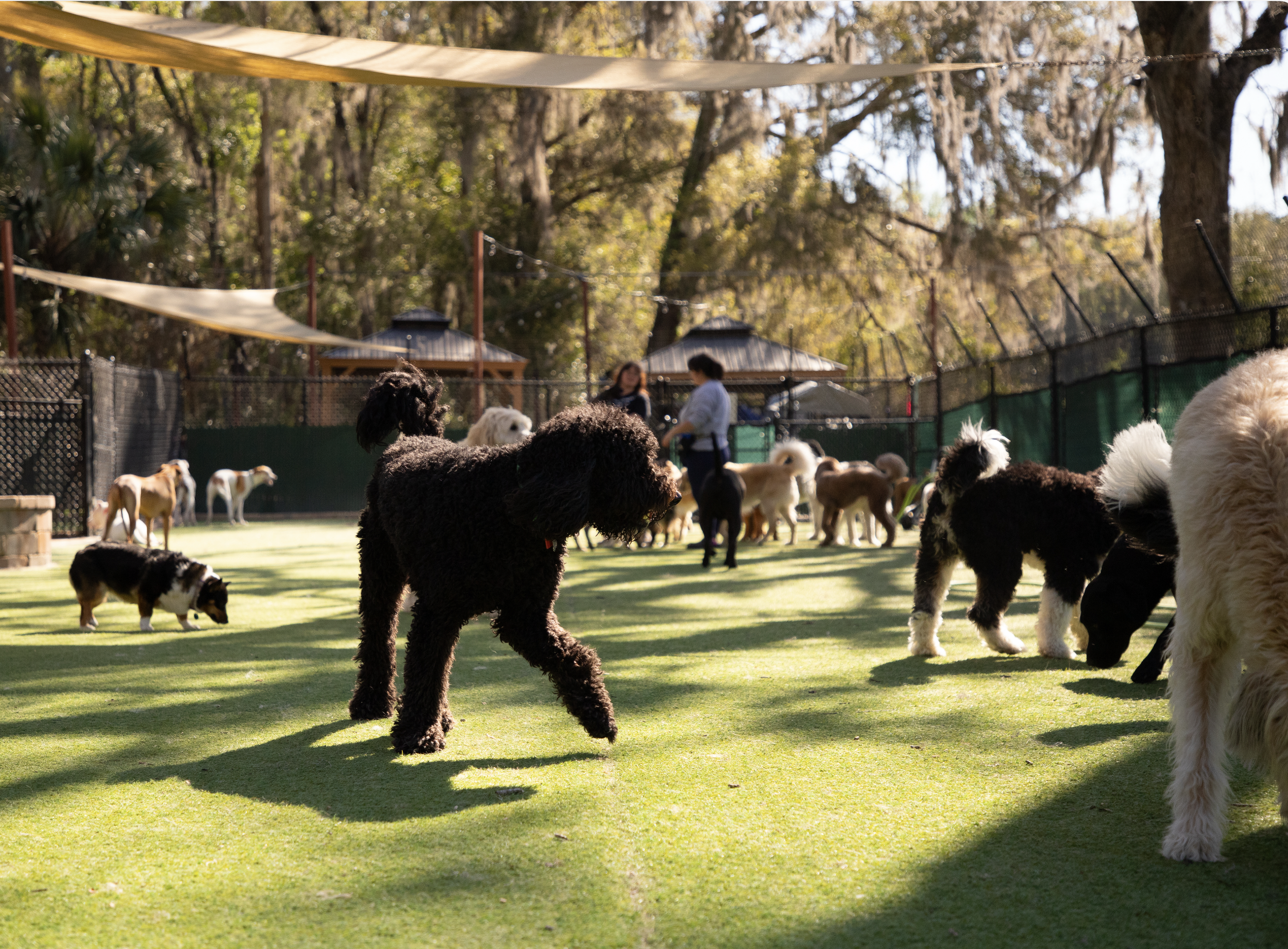 Screenshot 2026-03-31 at 11.16.48.png