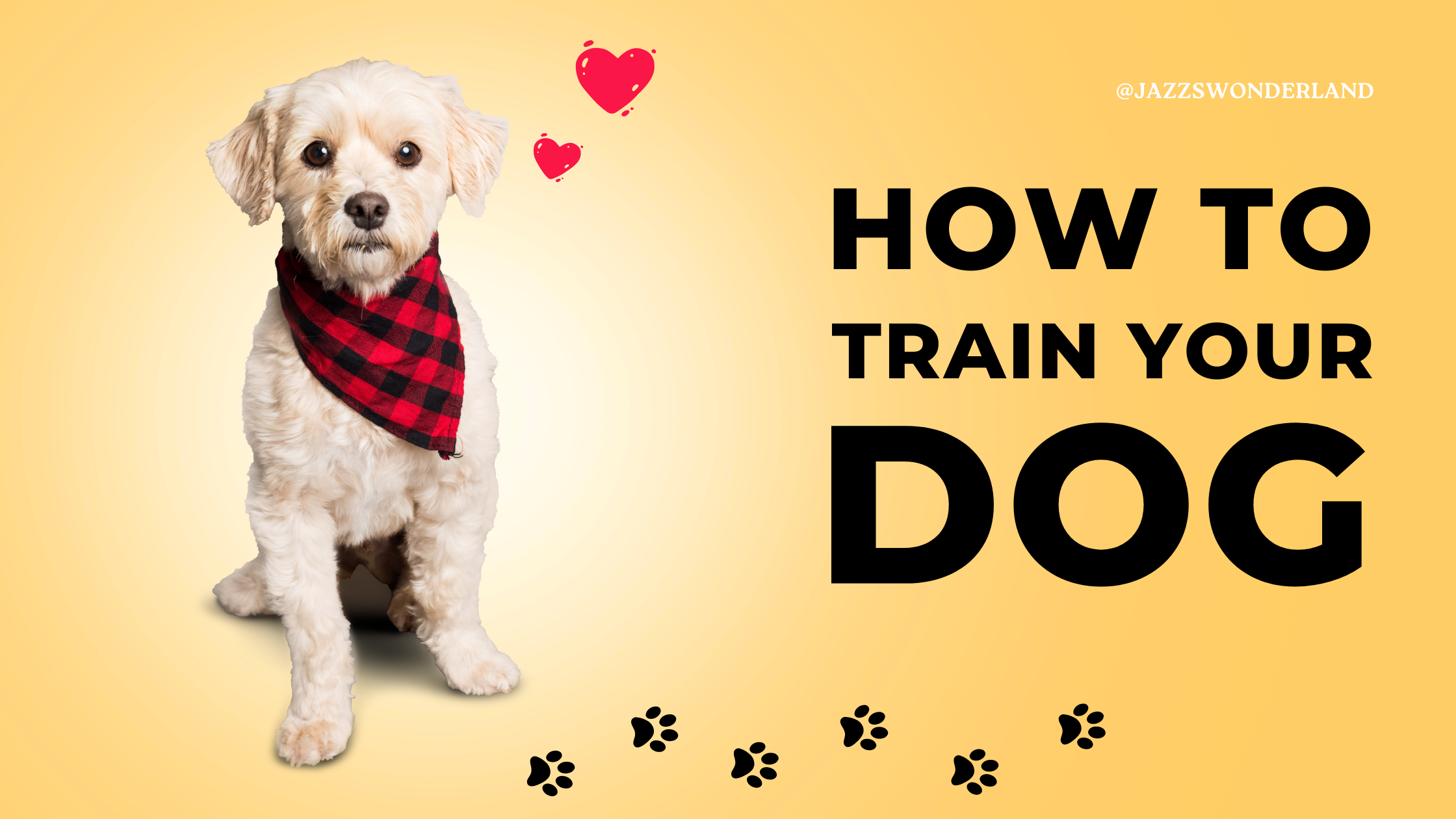 Mastering Dog Training Essential Tips, Do's and Don'ts, and Positive