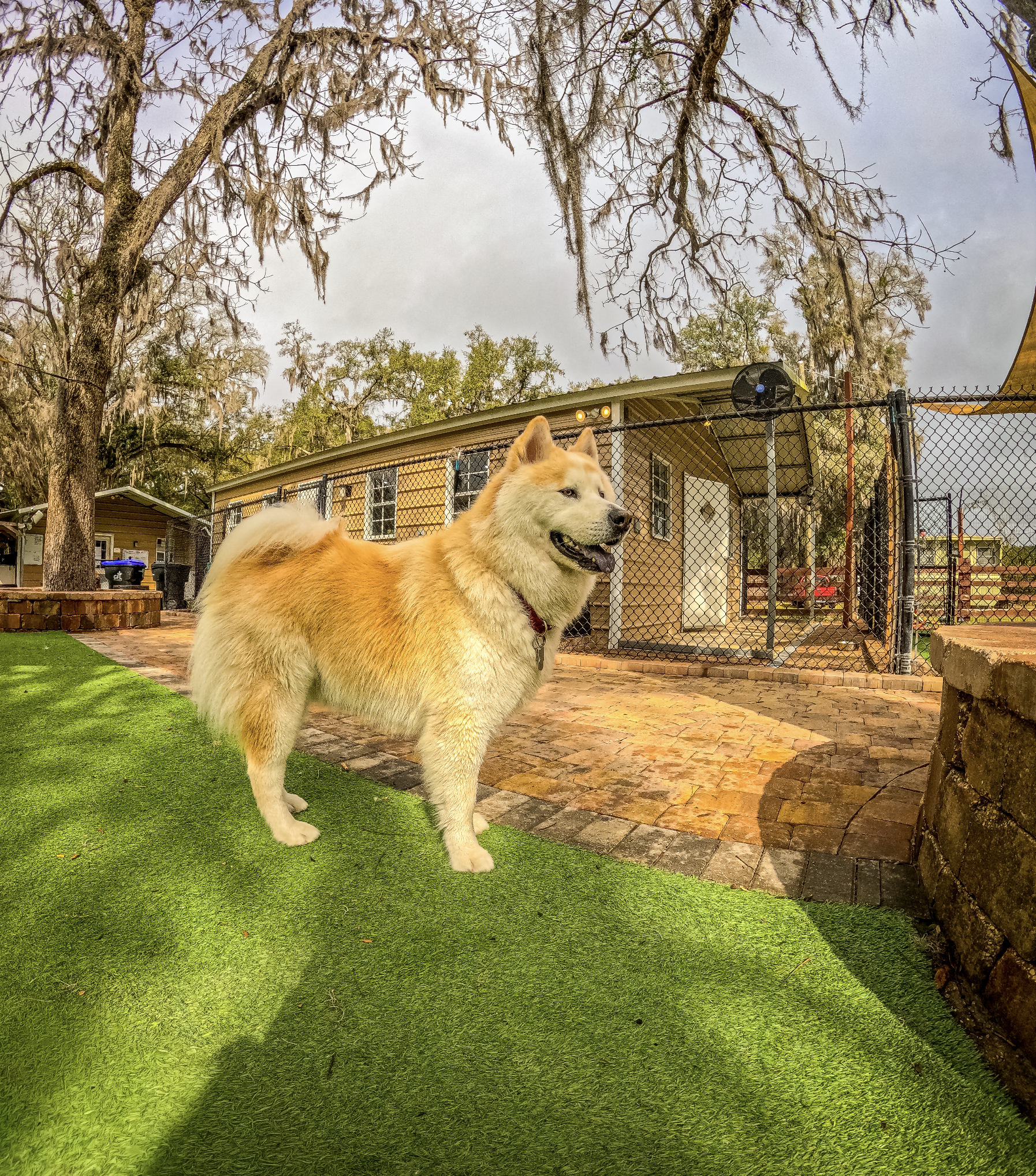 Screenshot 2026-03-31 at 11.28.19.png