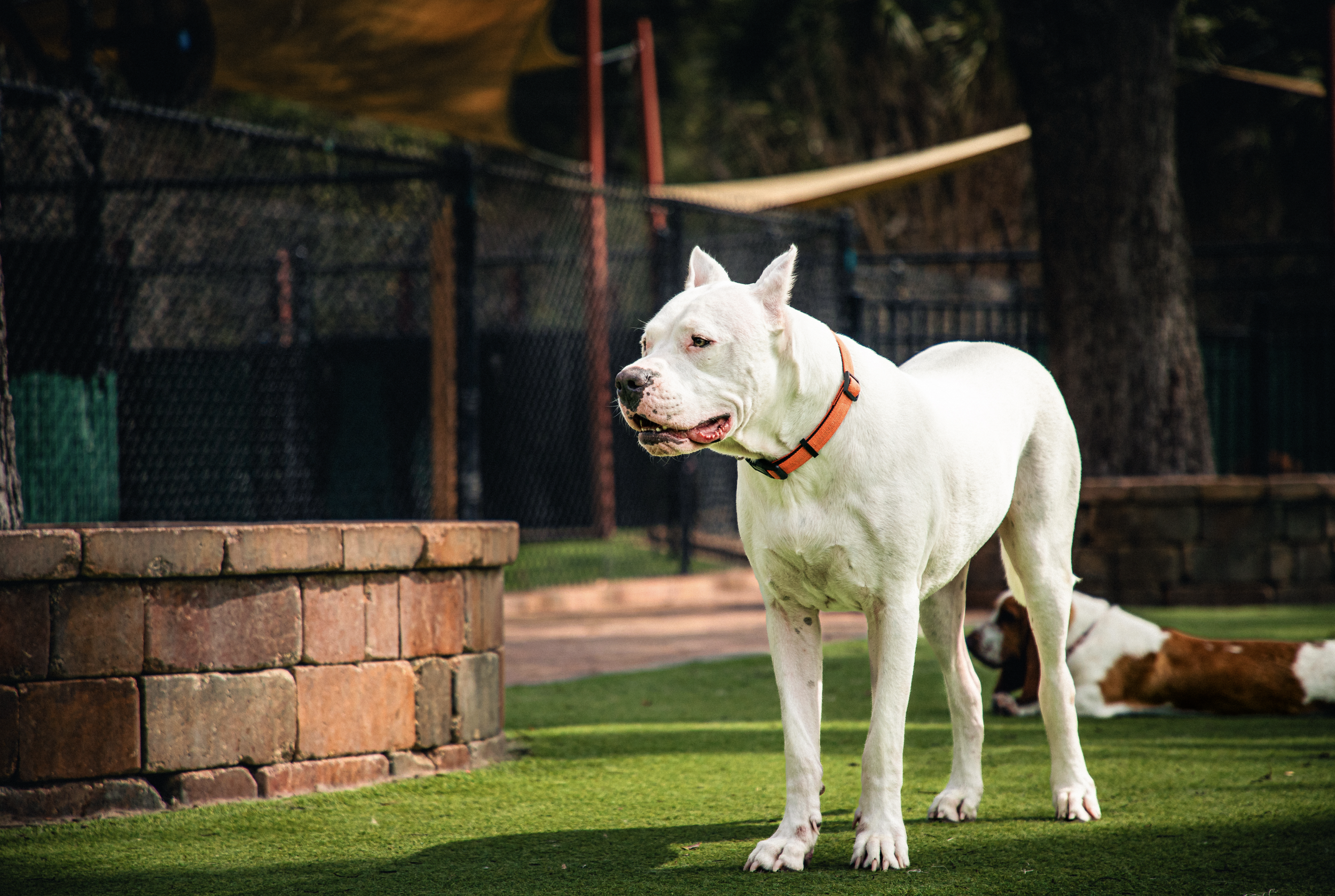 Screenshot 2026-03-31 at 11.47.19.png