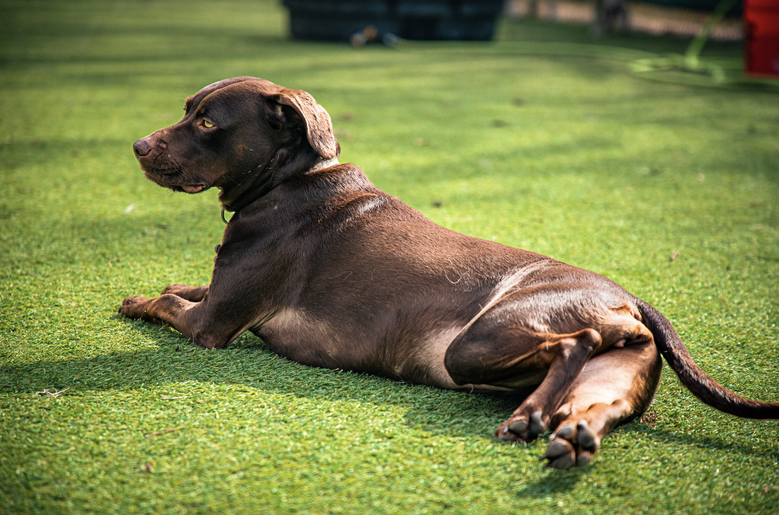 Screenshot 2026-03-31 at 11.45.39.png