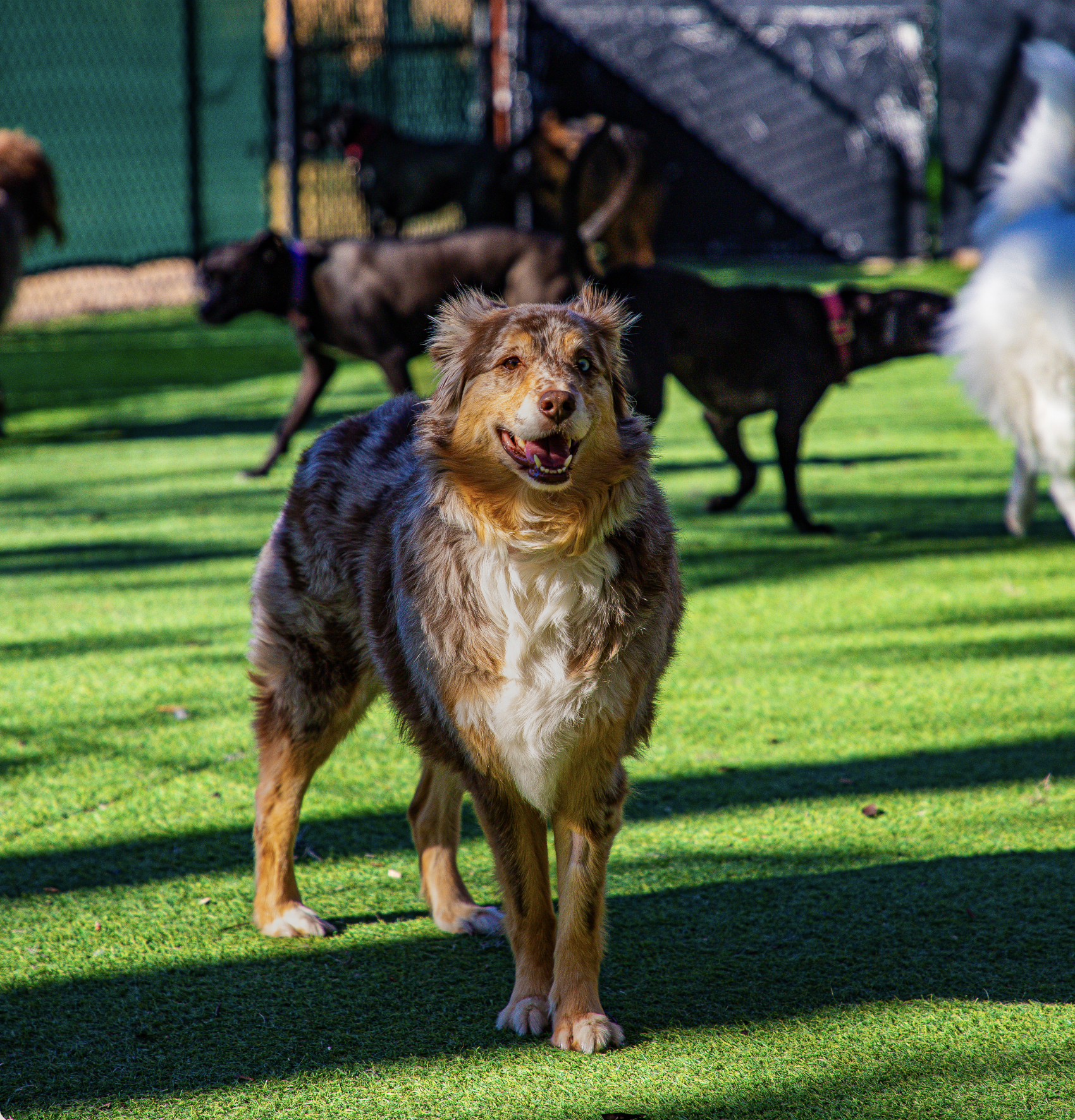 Screenshot 2026-03-31 at 12.05.31.png