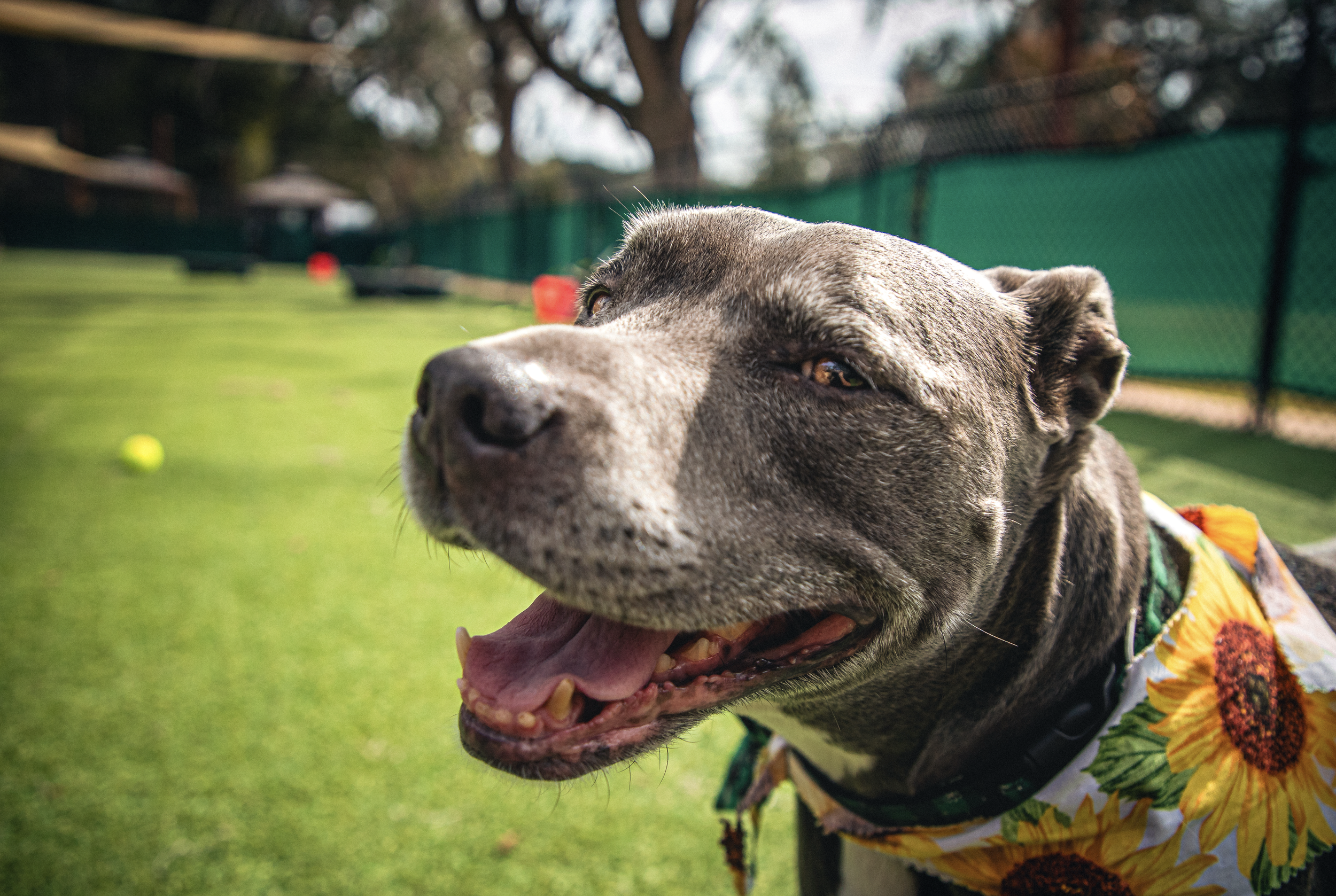 Screenshot 2026-03-31 at 11.48.18.png