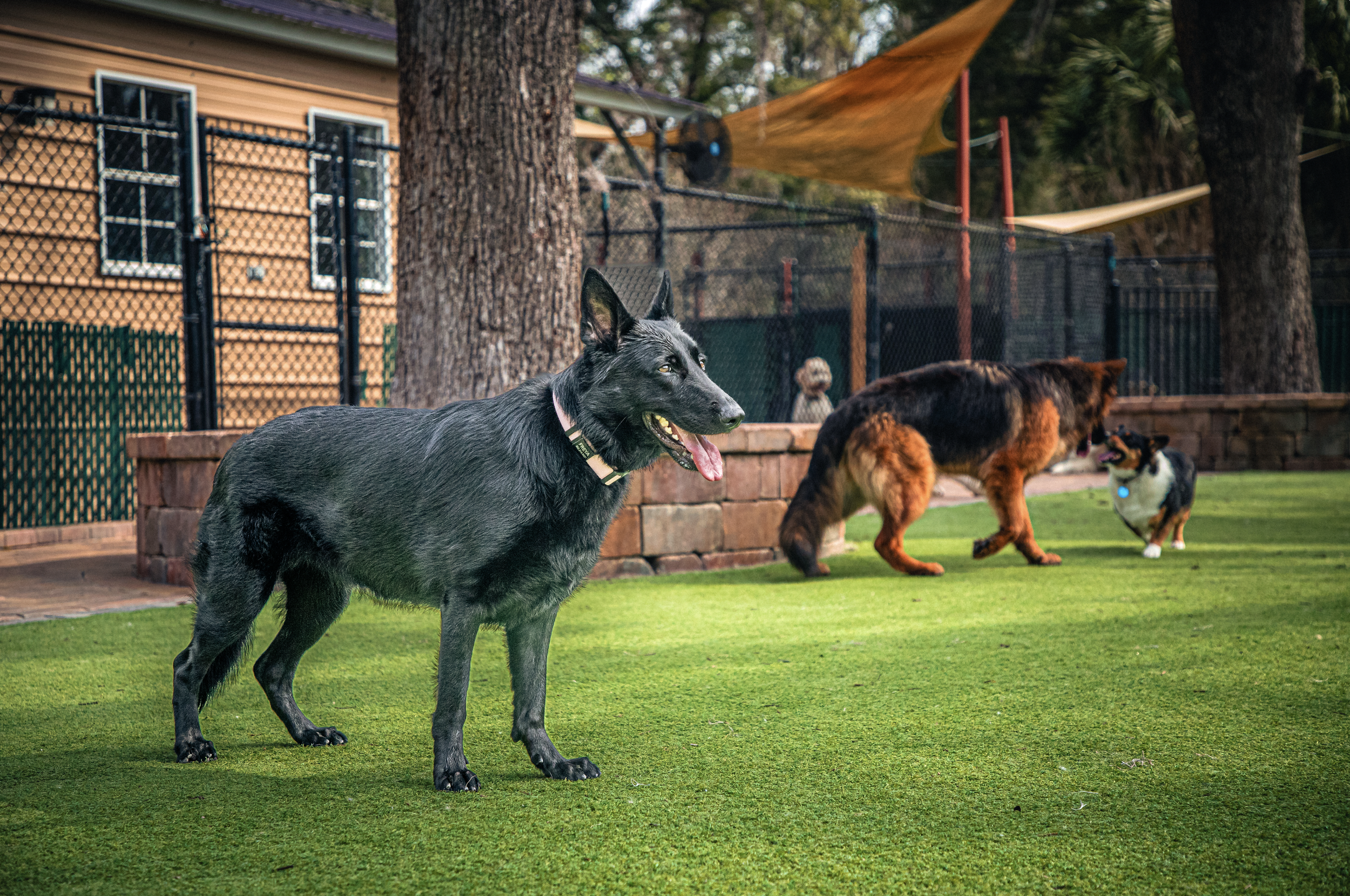 Screenshot 2026-03-31 at 11.46.09.png