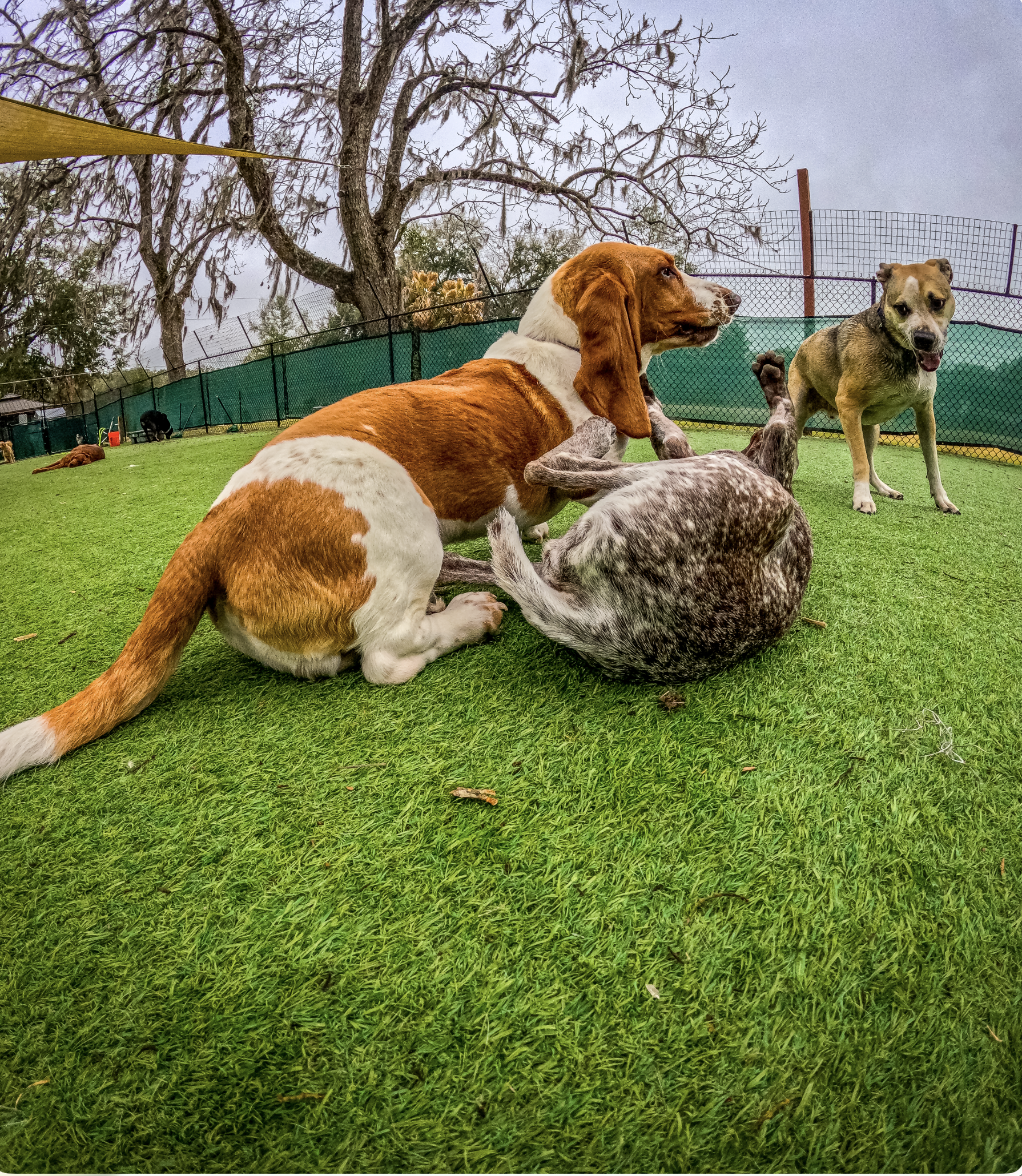 Screenshot 2026-03-31 at 11.29.25.png