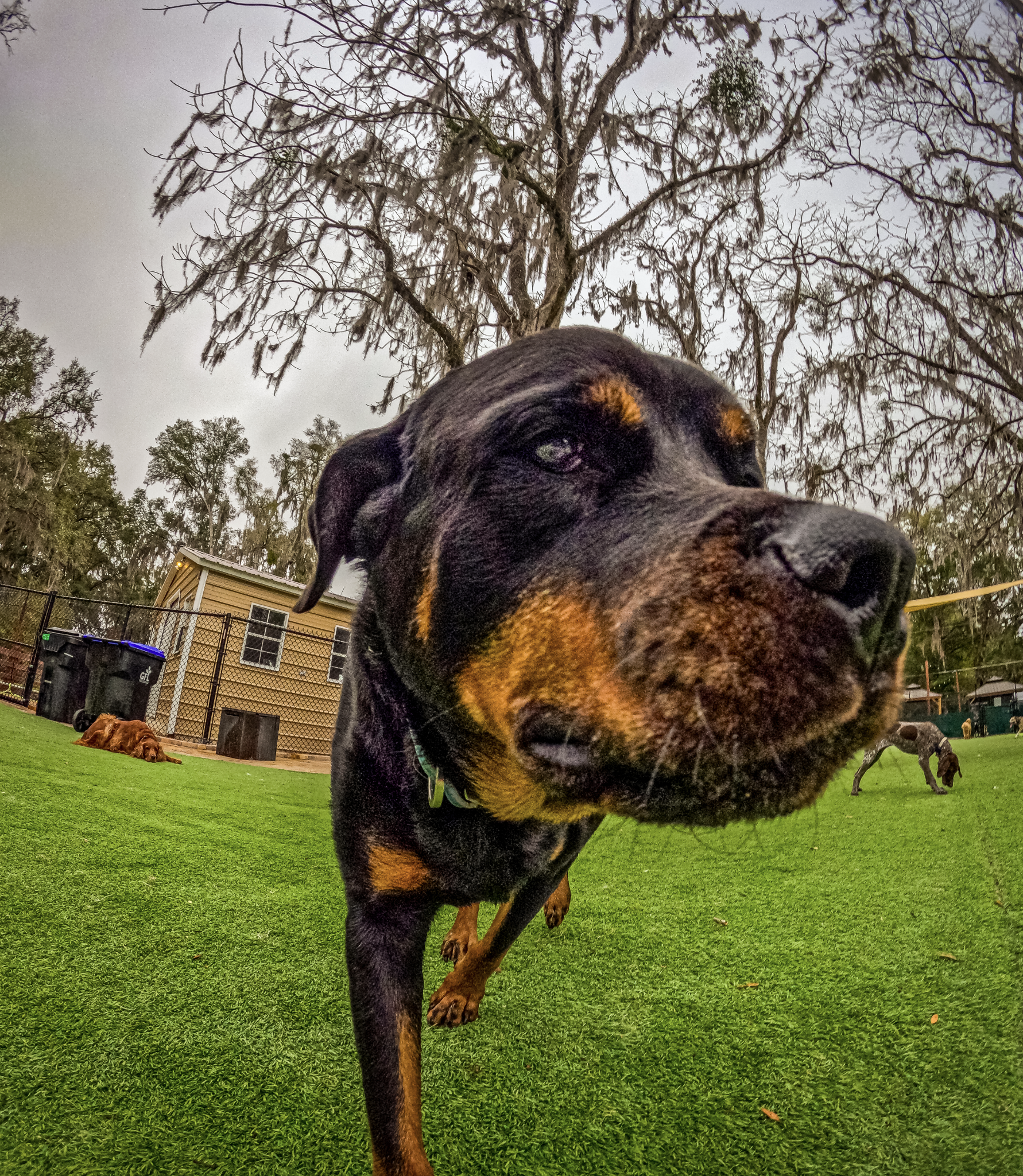 Screenshot 2026-03-31 at 11.29.14.png