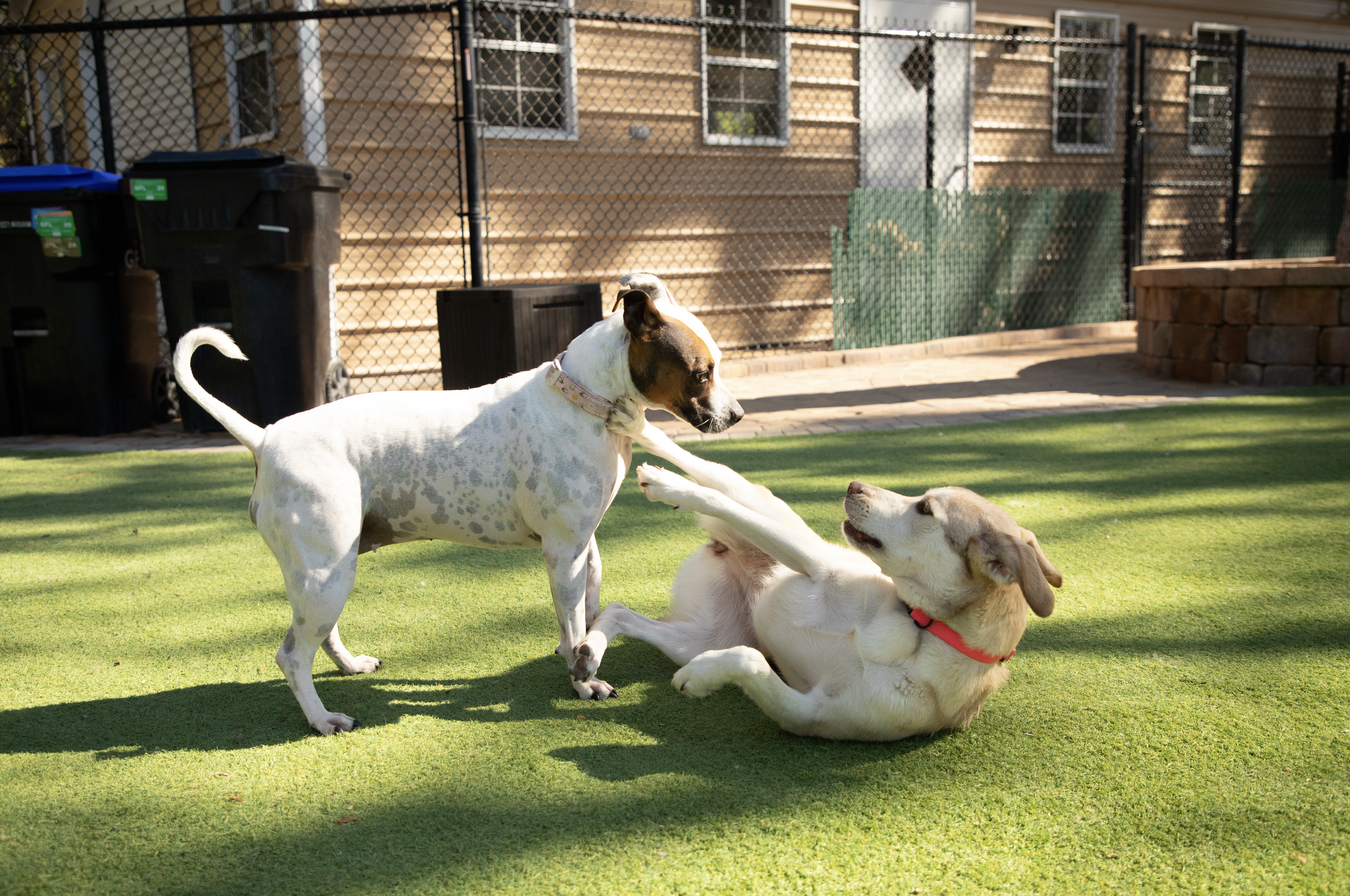 Screenshot 2026-03-31 at 11.15.35.png