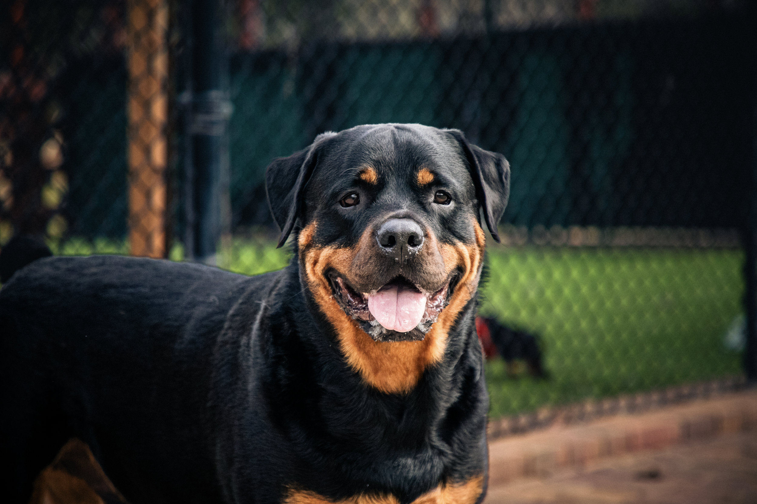 Screenshot 2026-03-31 at 11.46.32.png