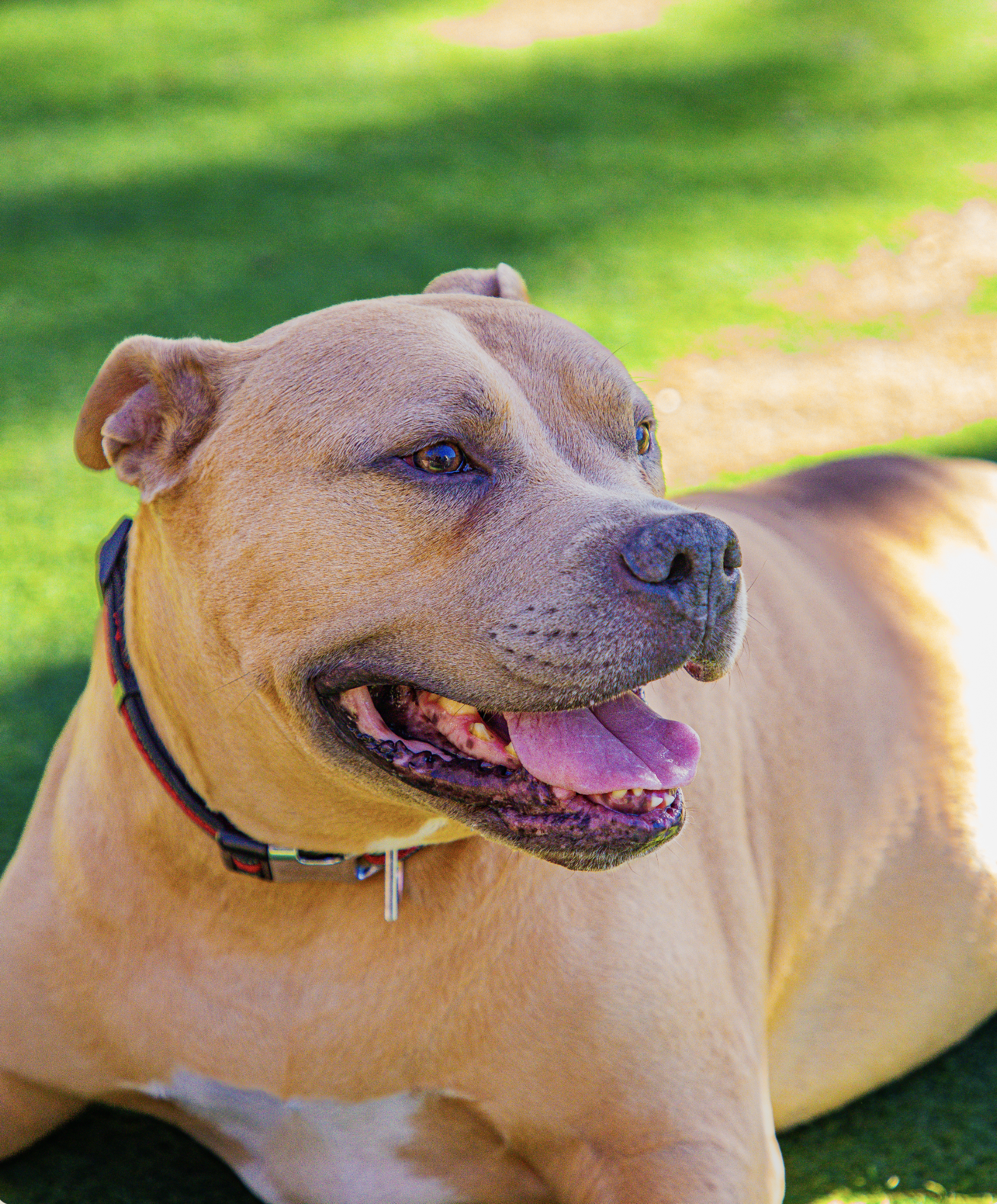 Screenshot 2026-03-31 at 12.05.20.png