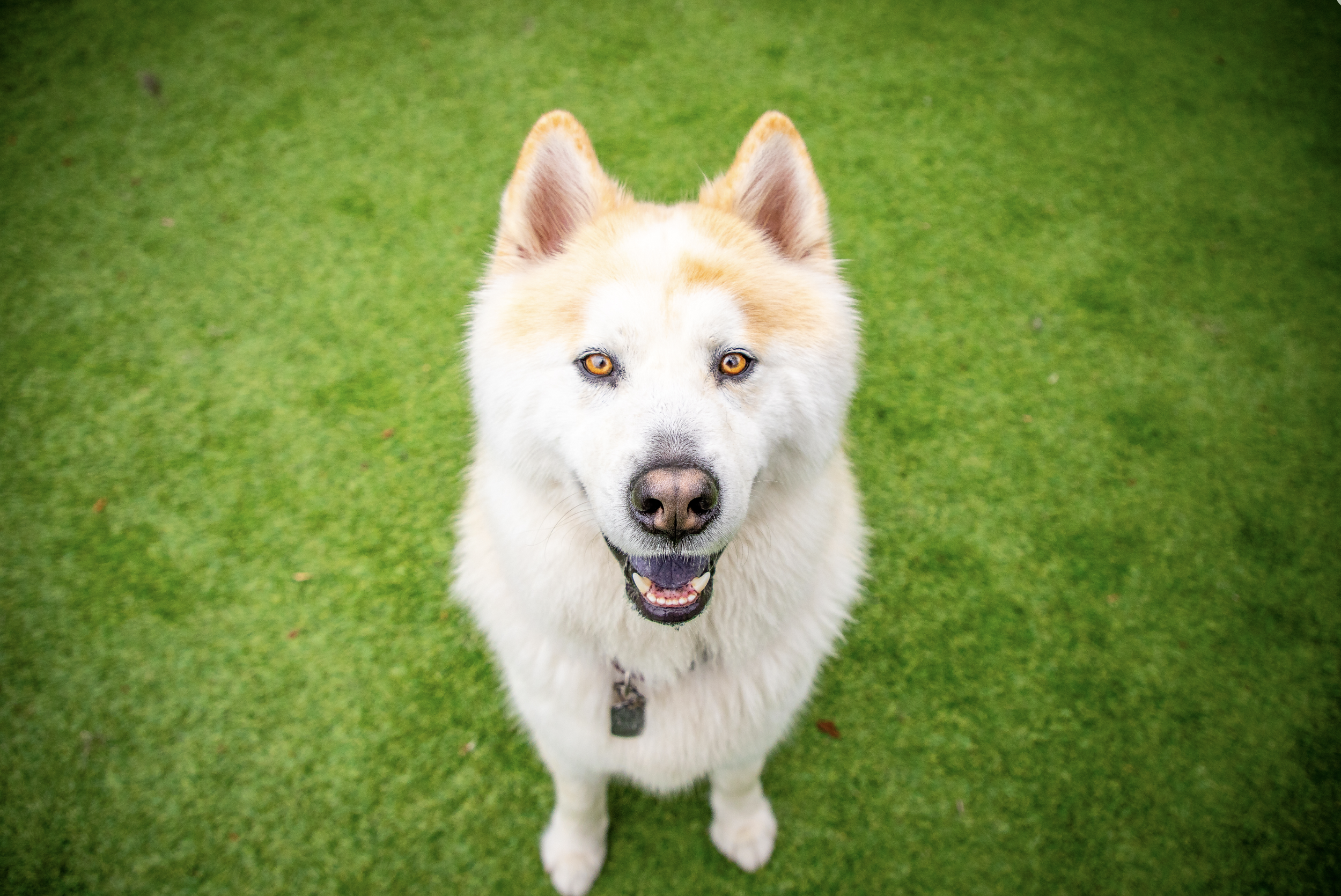 Screenshot 2026-03-31 at 11.34.39.png