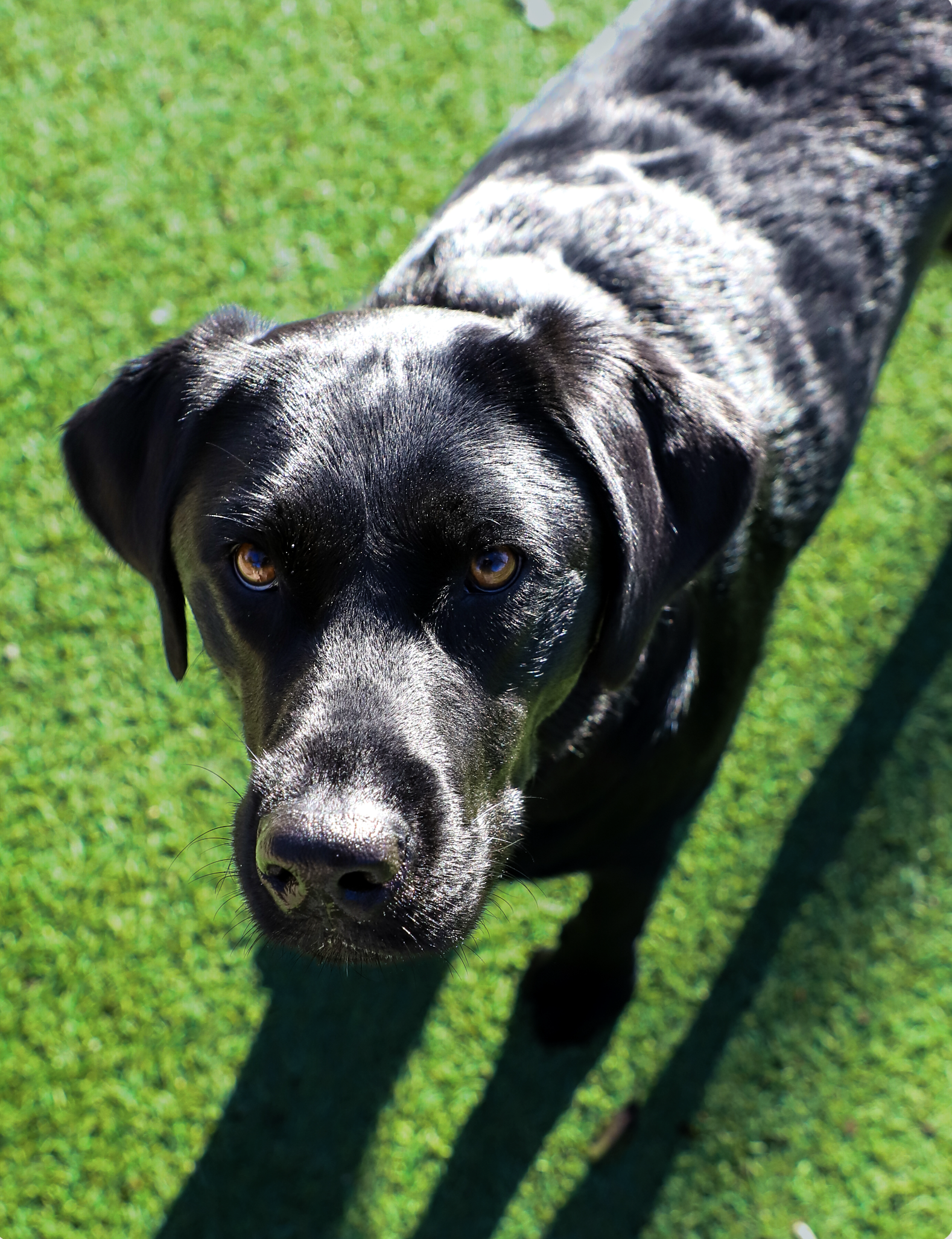 Screenshot 2026-03-31 at 12.06.20.png