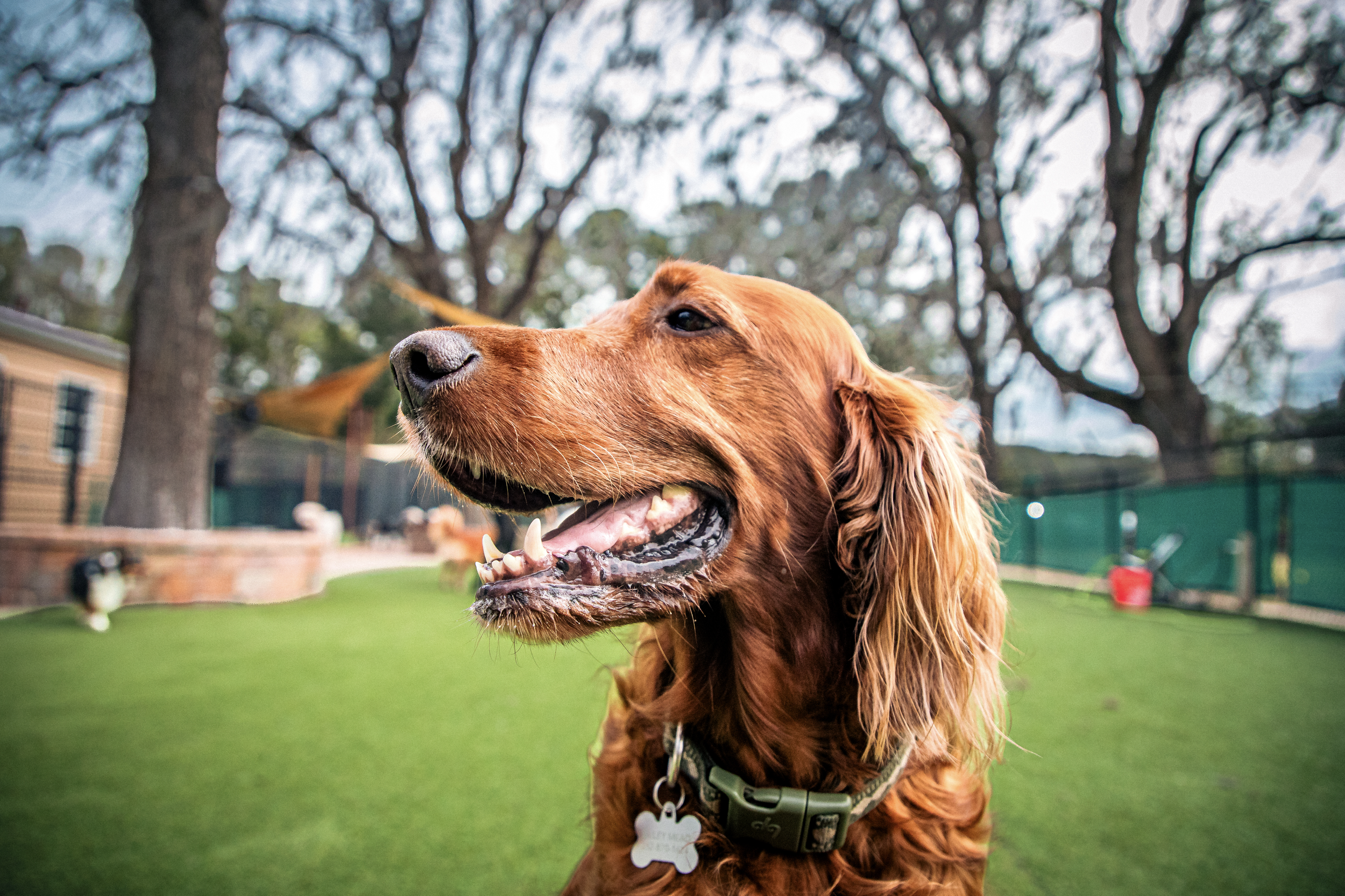 Screenshot 2026-03-31 at 11.46.44.png