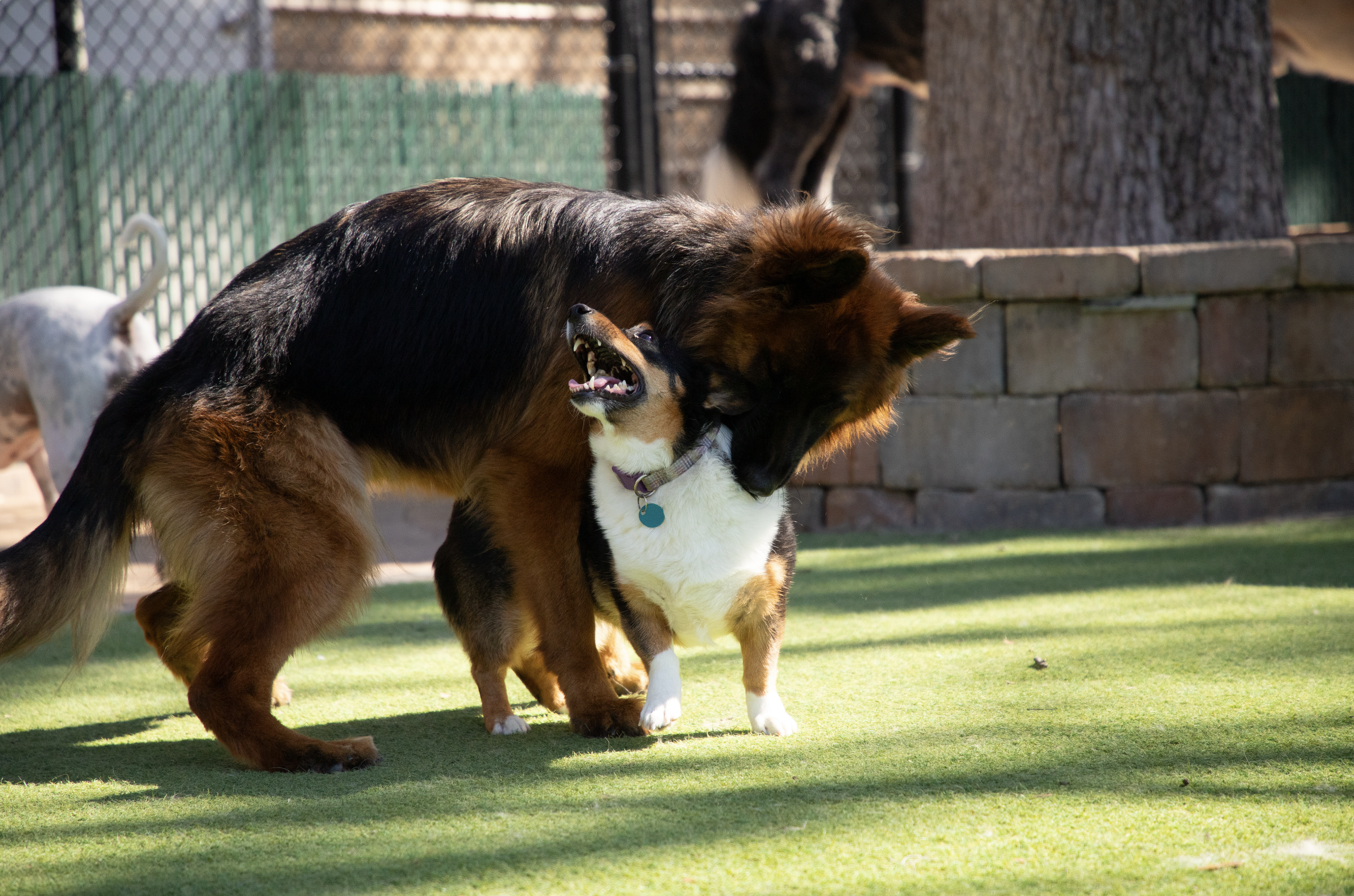 Screenshot 2026-03-31 at 11.15.15.png