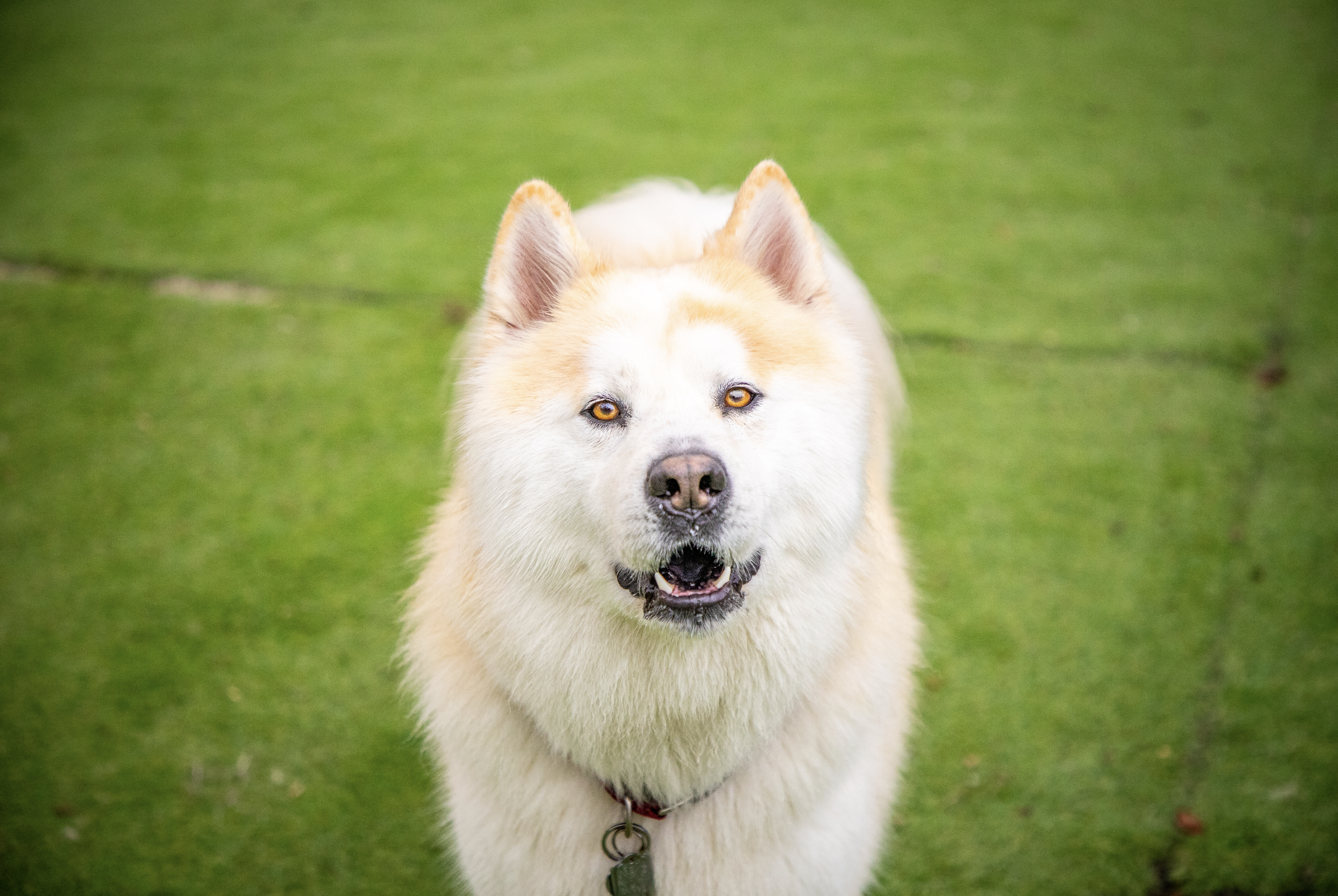 Screenshot 2026-03-31 at 11.30.41.png