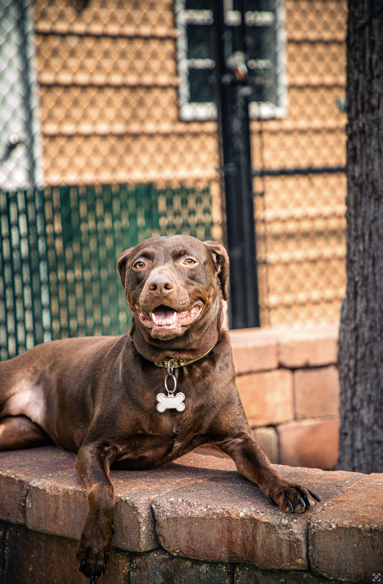 Screenshot 2026-03-31 at 11.45.54.png