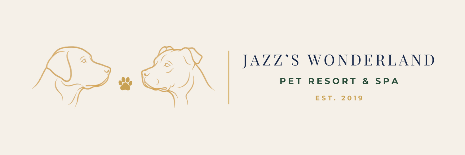 Jazz's Wonderland 