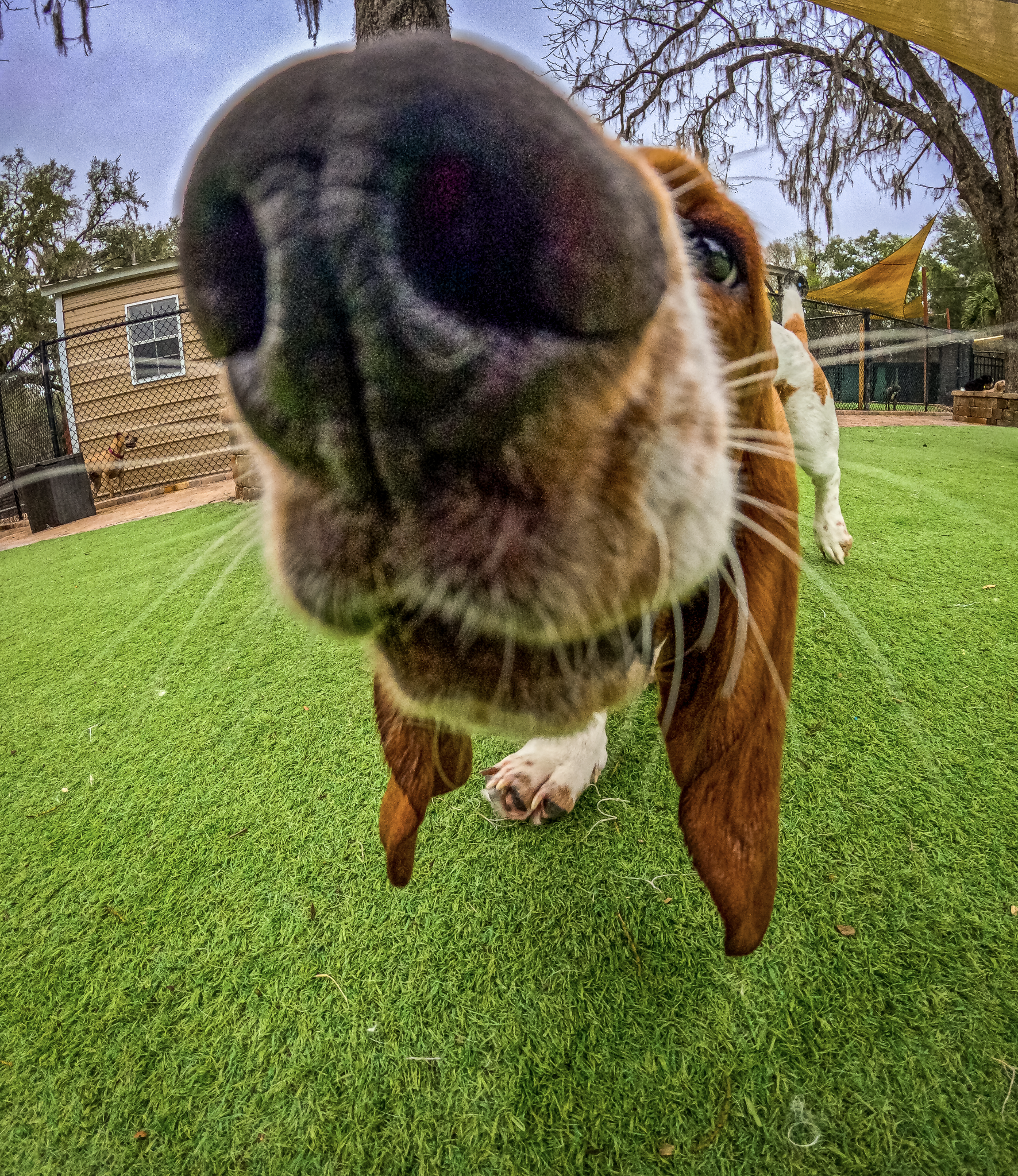 Screenshot 2026-03-31 at 11.29.36.png