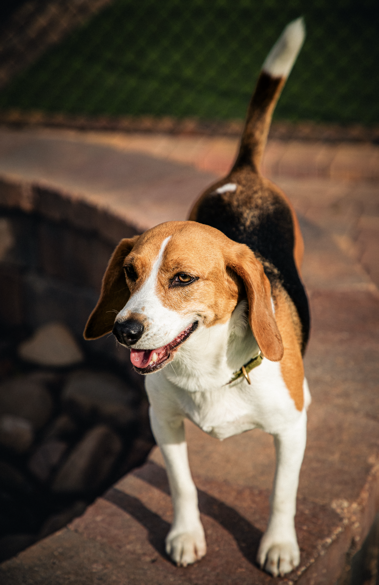 Screenshot 2026-03-31 at 11.43.51.png