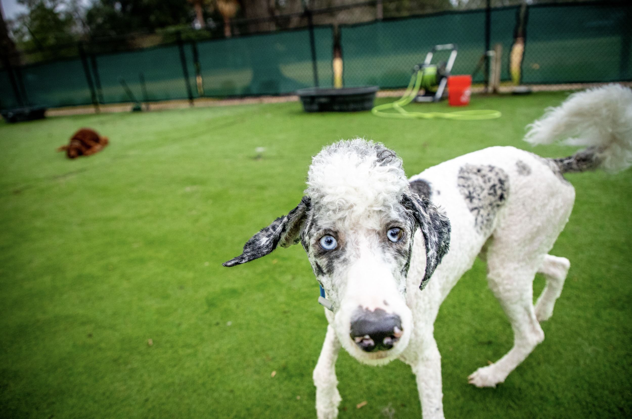 Screenshot 2026-03-31 at 11.30.57.png