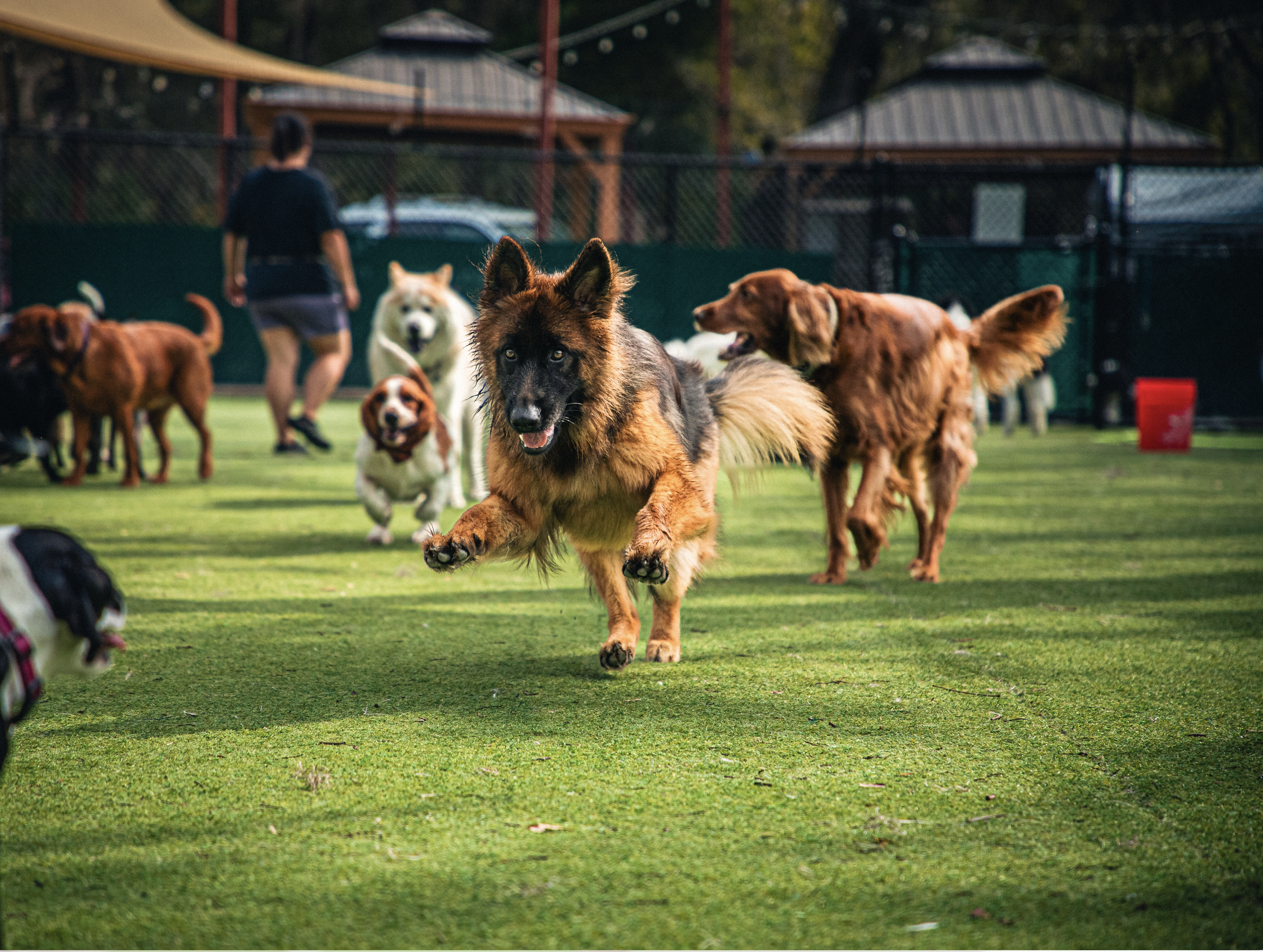 Screenshot 2026-03-31 at 11.46.58.png