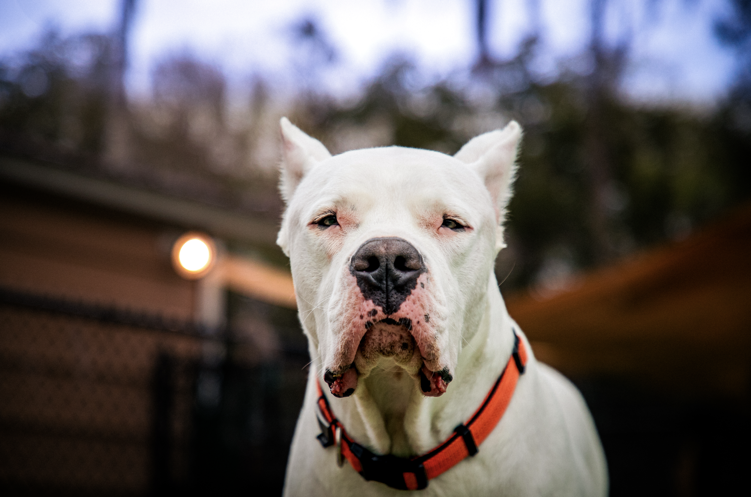 Screenshot 2026-03-31 at 11.44.18.png