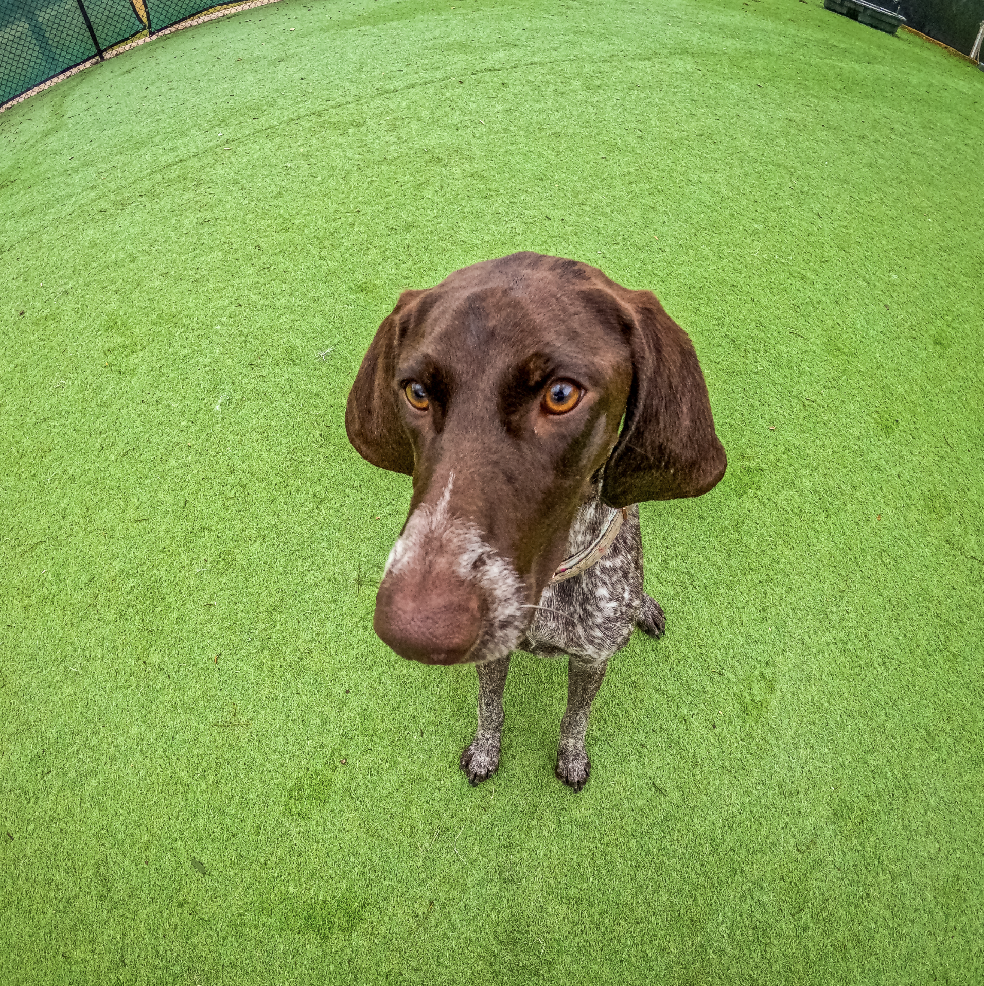 Screenshot 2026-03-31 at 11.34.12.png