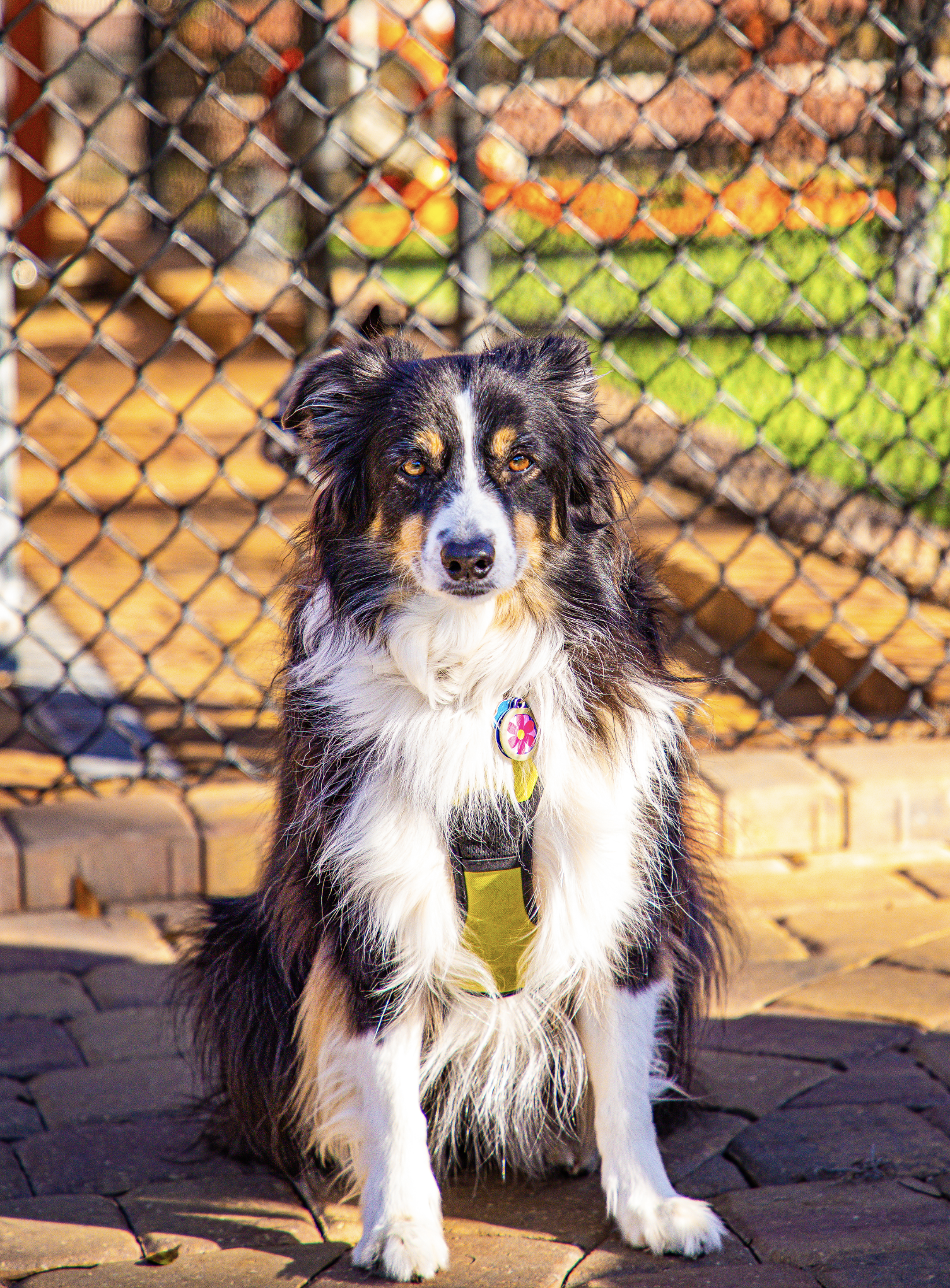 Screenshot 2026-03-31 at 12.06.12.png