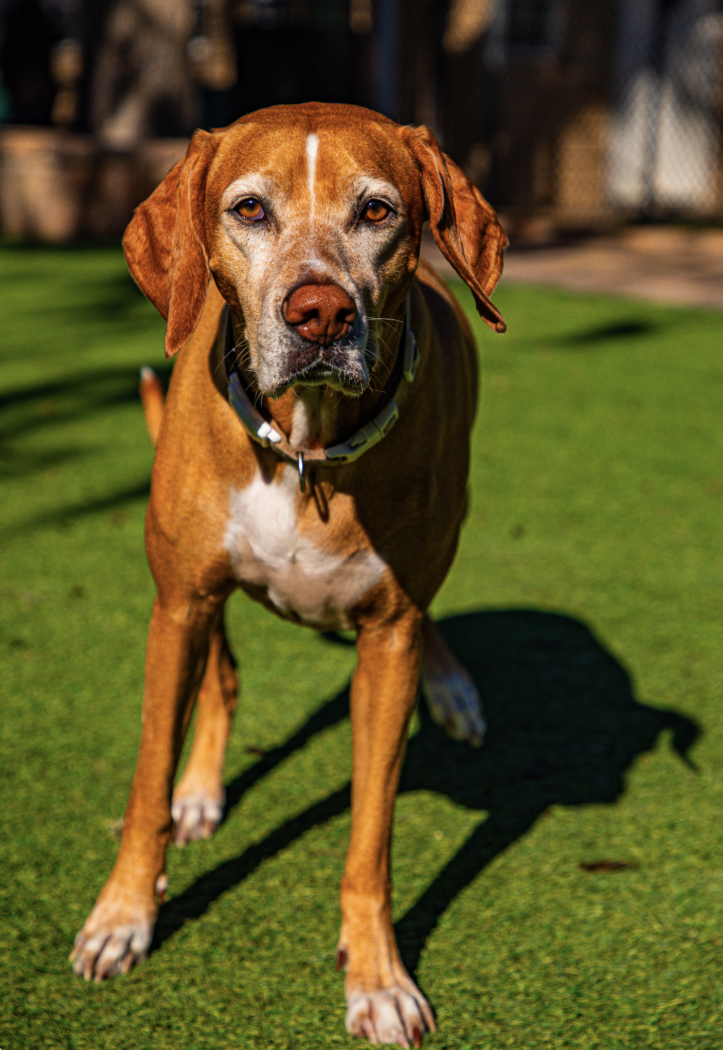 Screenshot 2026-03-31 at 12.04.51.png