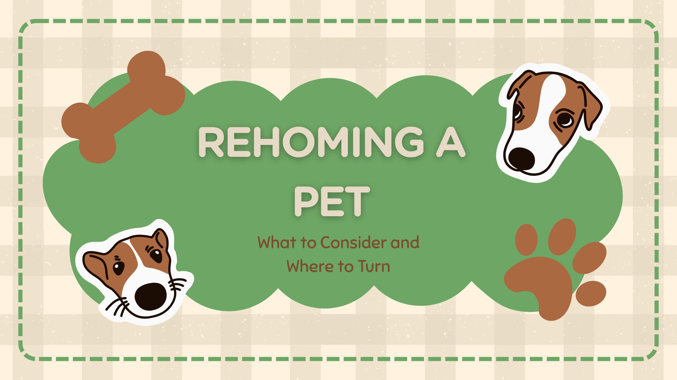 How to Rehome a Pet Responsibly: A Compassionate Guide for Pet Parents ...