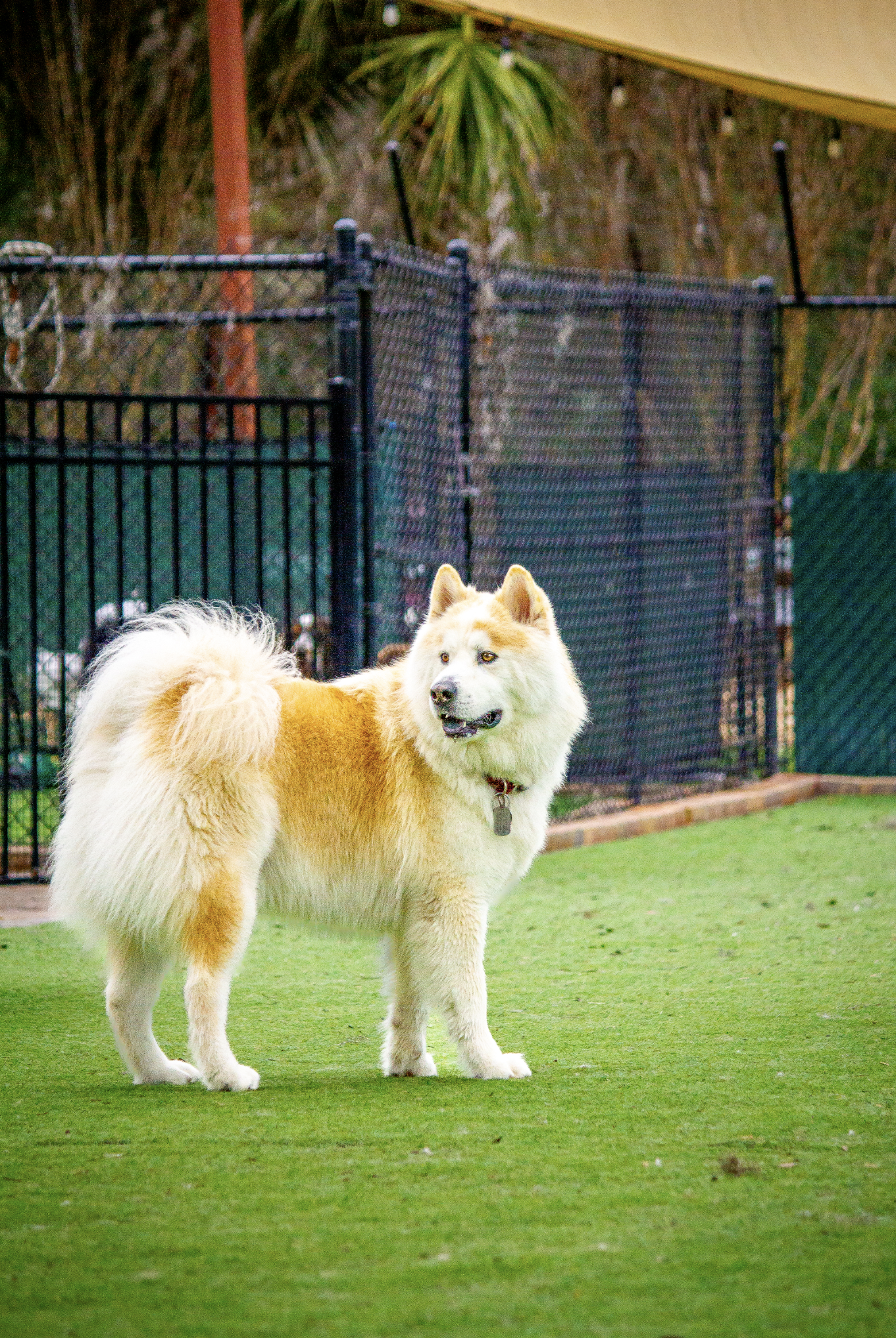 Screenshot 2026-03-31 at 11.30.05.png