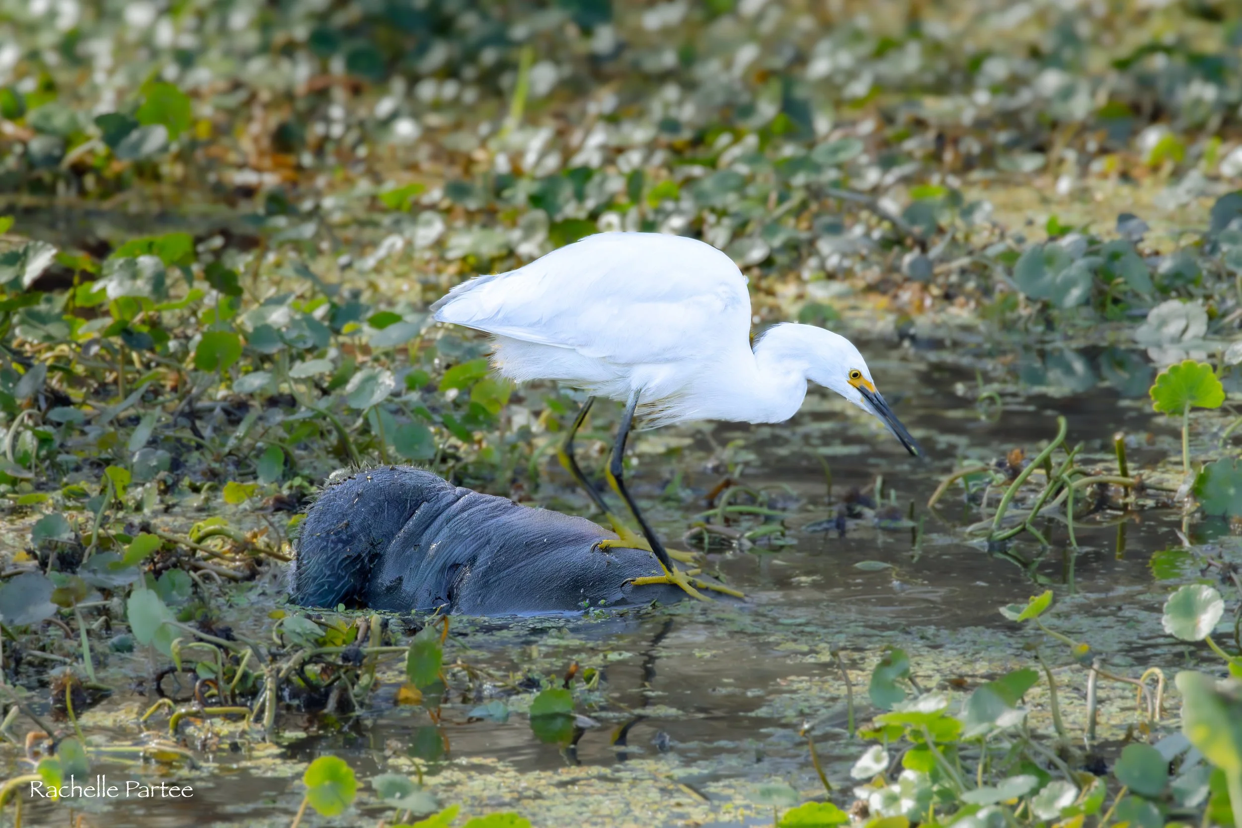 Blue Springs State Park 