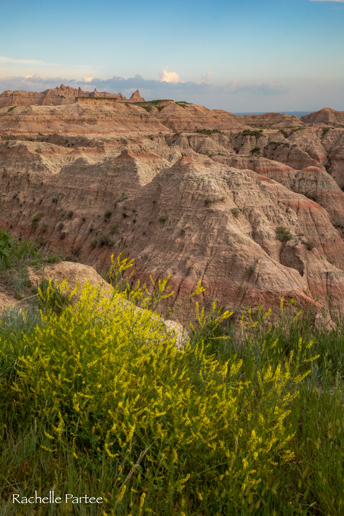Badlands 6 small file.jpg