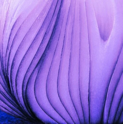 Reading Neruda’s “Ode to the Onion”