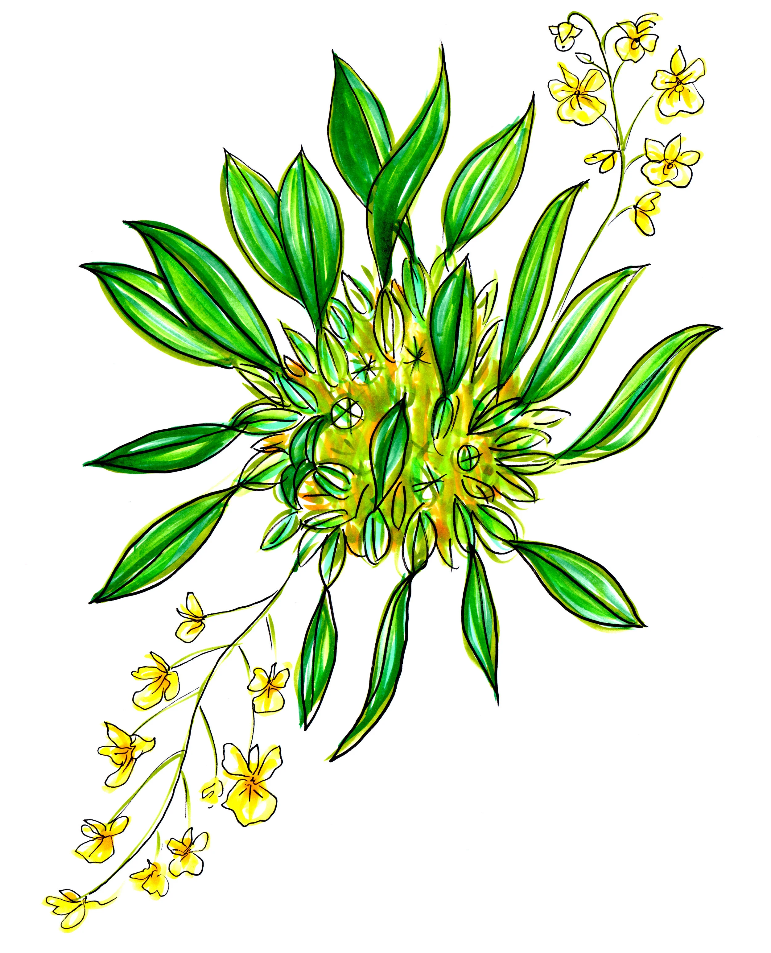 The botanist, the artist, and the book of what remains (Excerpt)