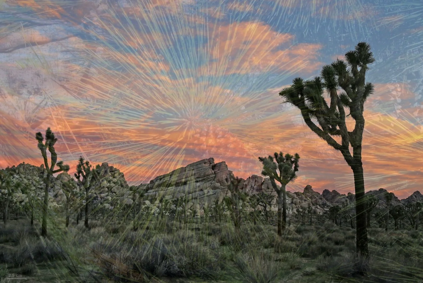 Twice Alive III, Circumambulation of Mt. Tamalpais