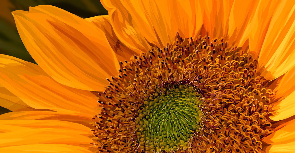 Taking the Sunflower to the Mountains