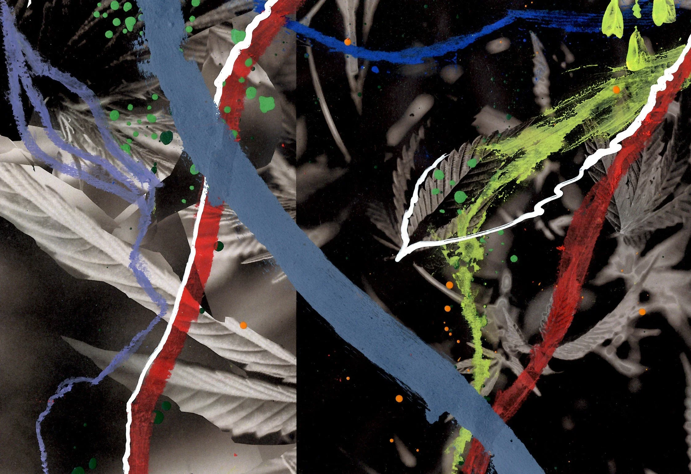 Tony to His Pot Plant