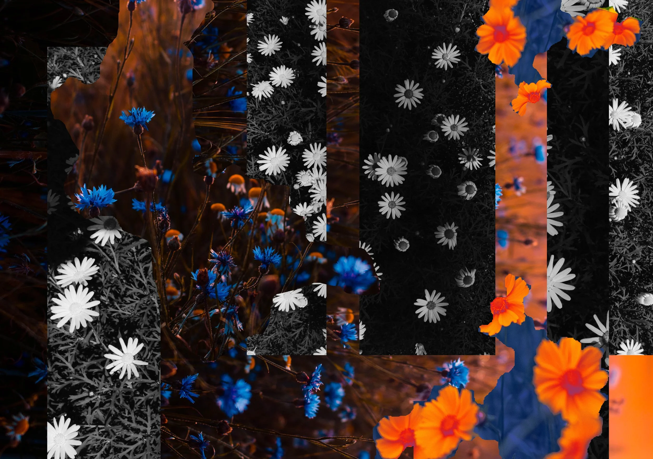 Excerpt 1 from a Speculative Field Guide, Ohio, Sol 2321