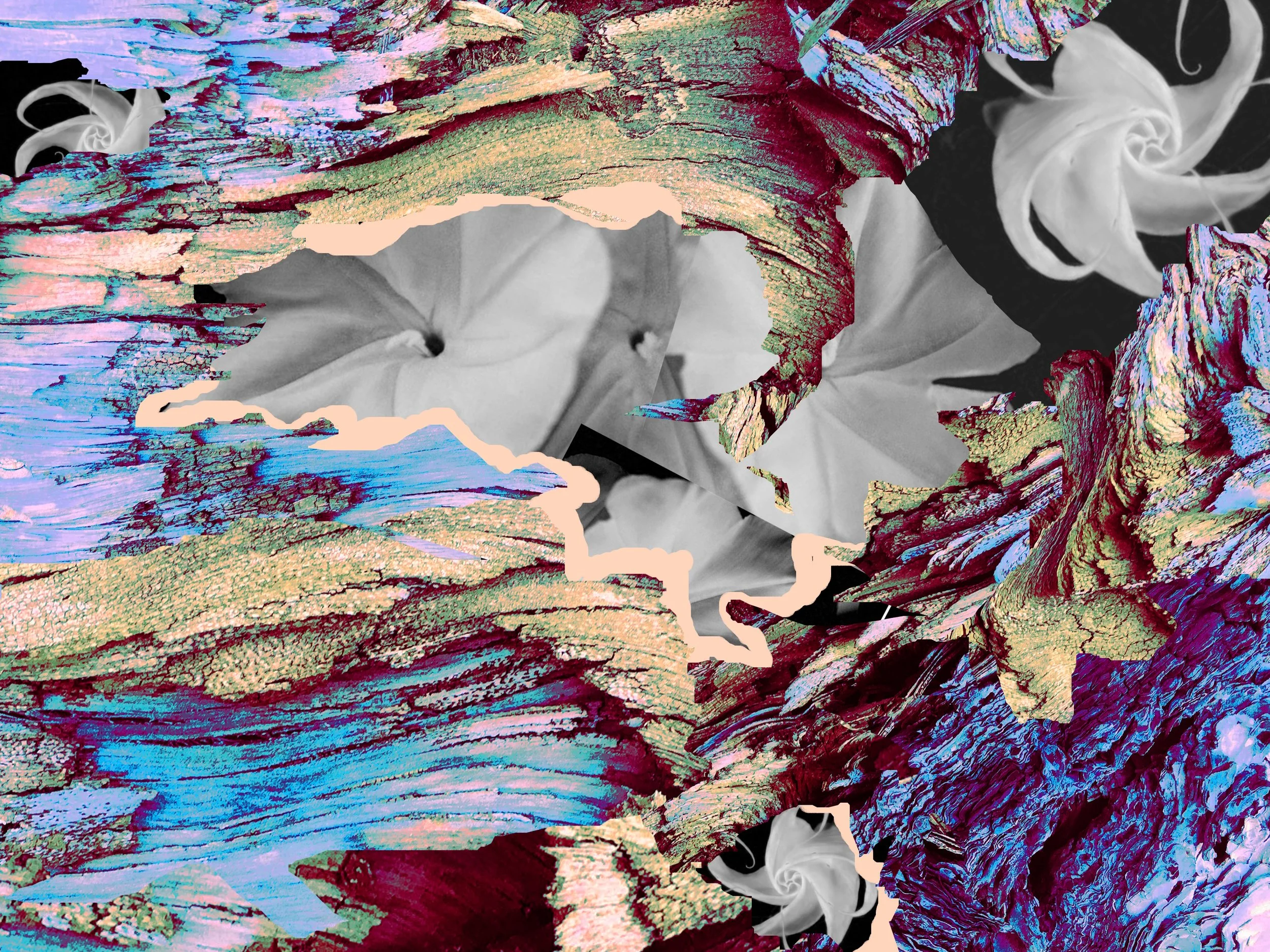 Moonflower’s Ghost