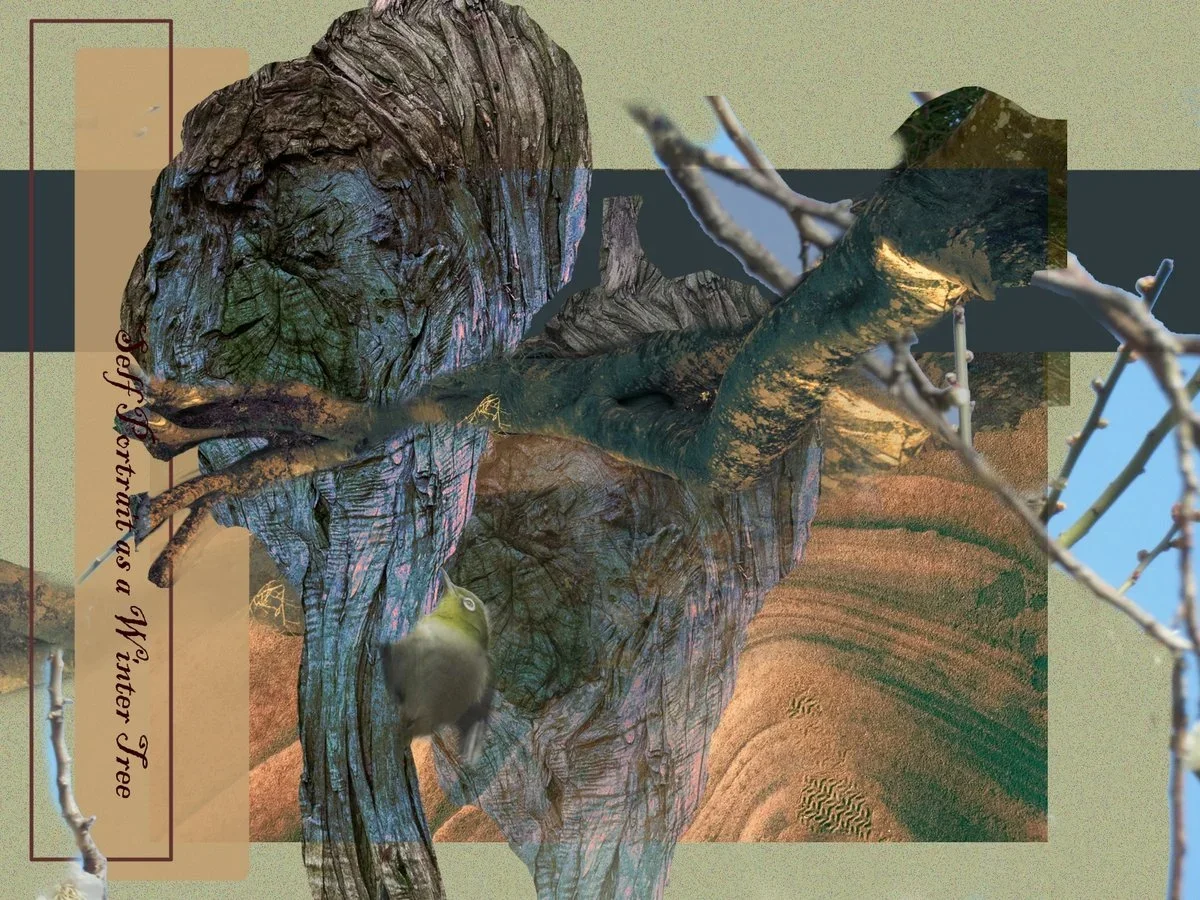 Self-Portrait as a Winter Tree